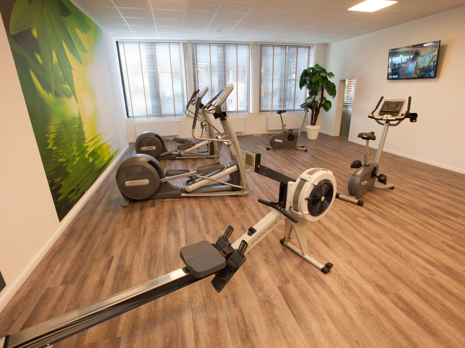 Sport