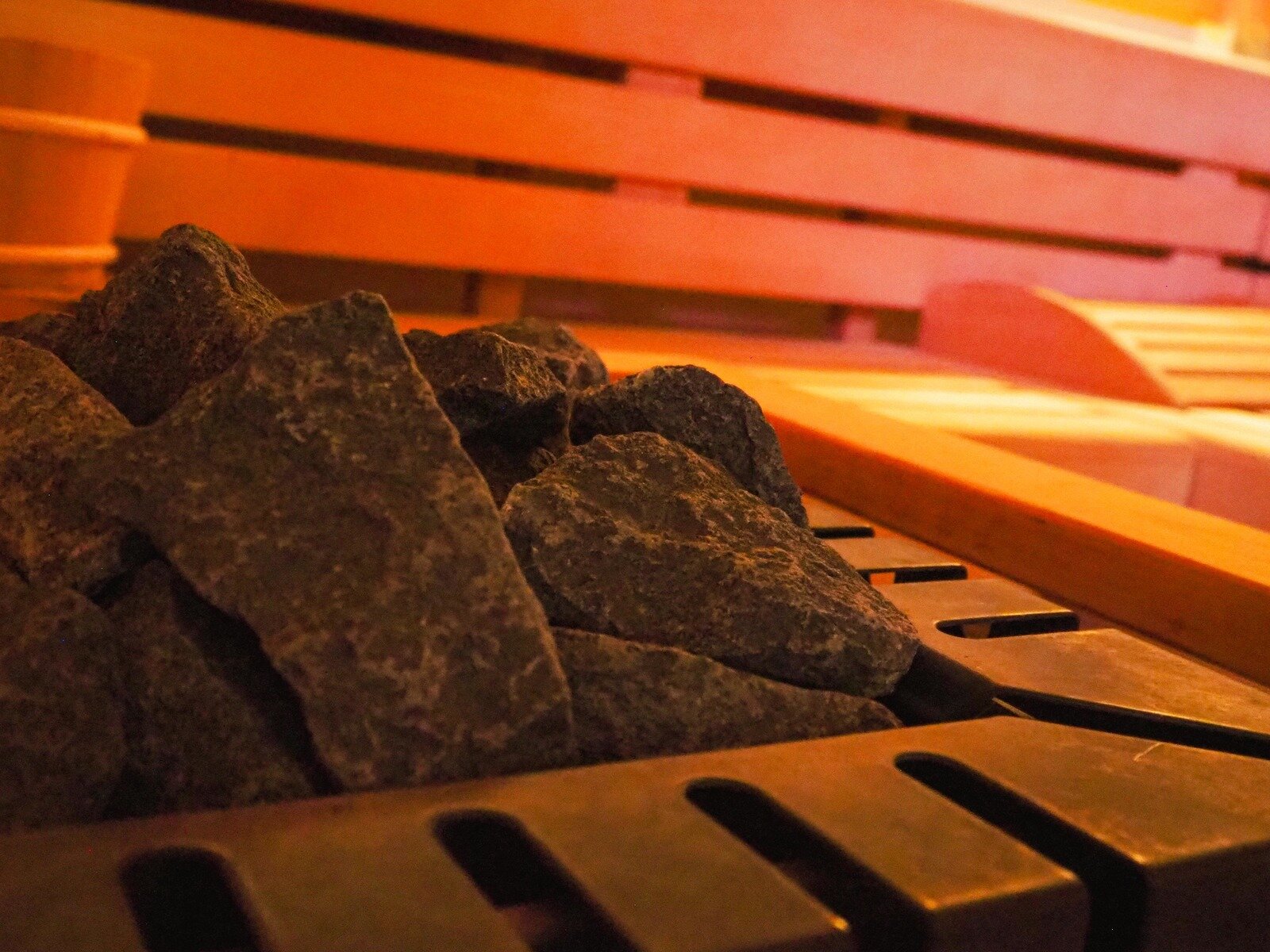 Wellness