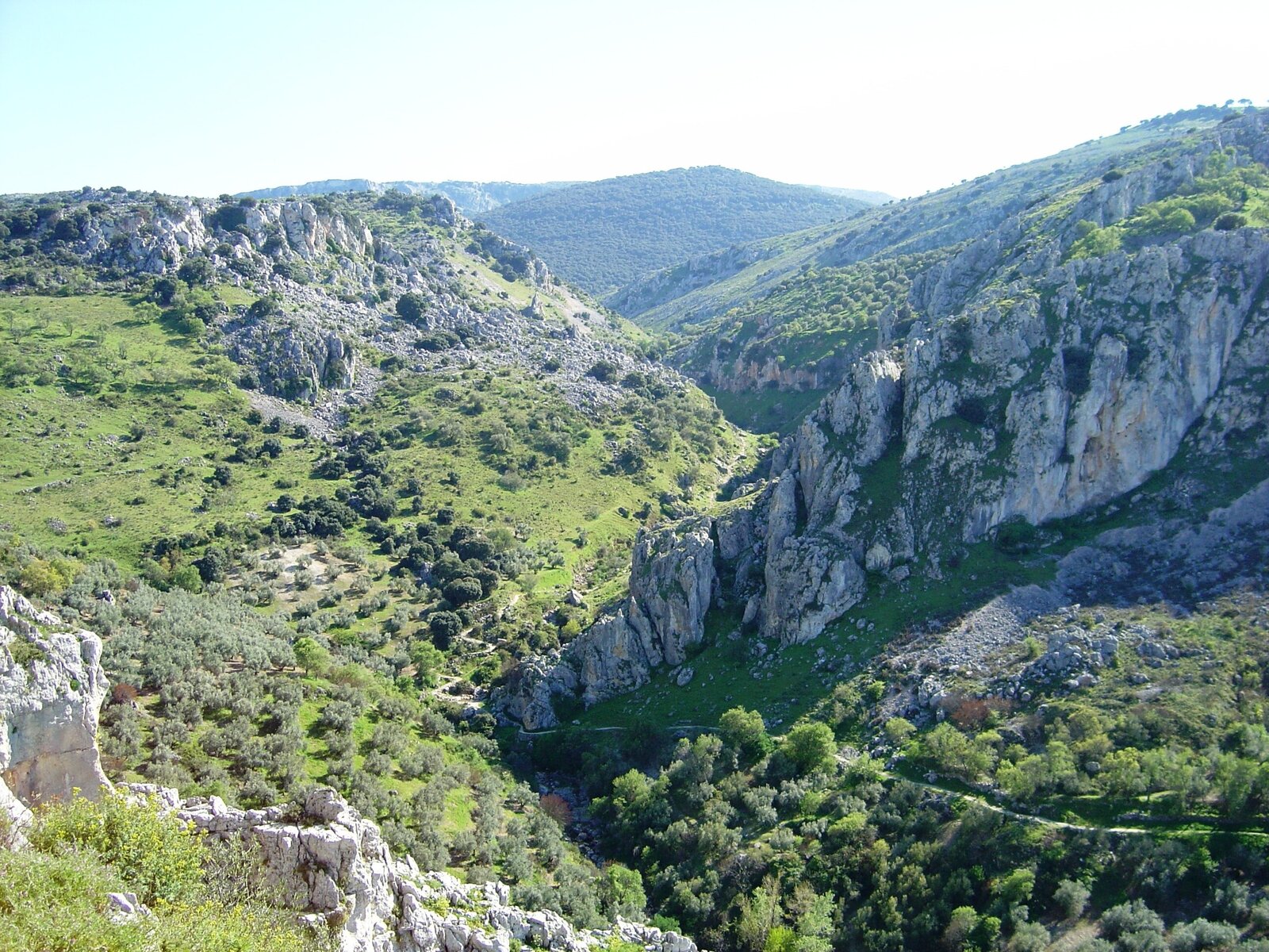 Landschaft