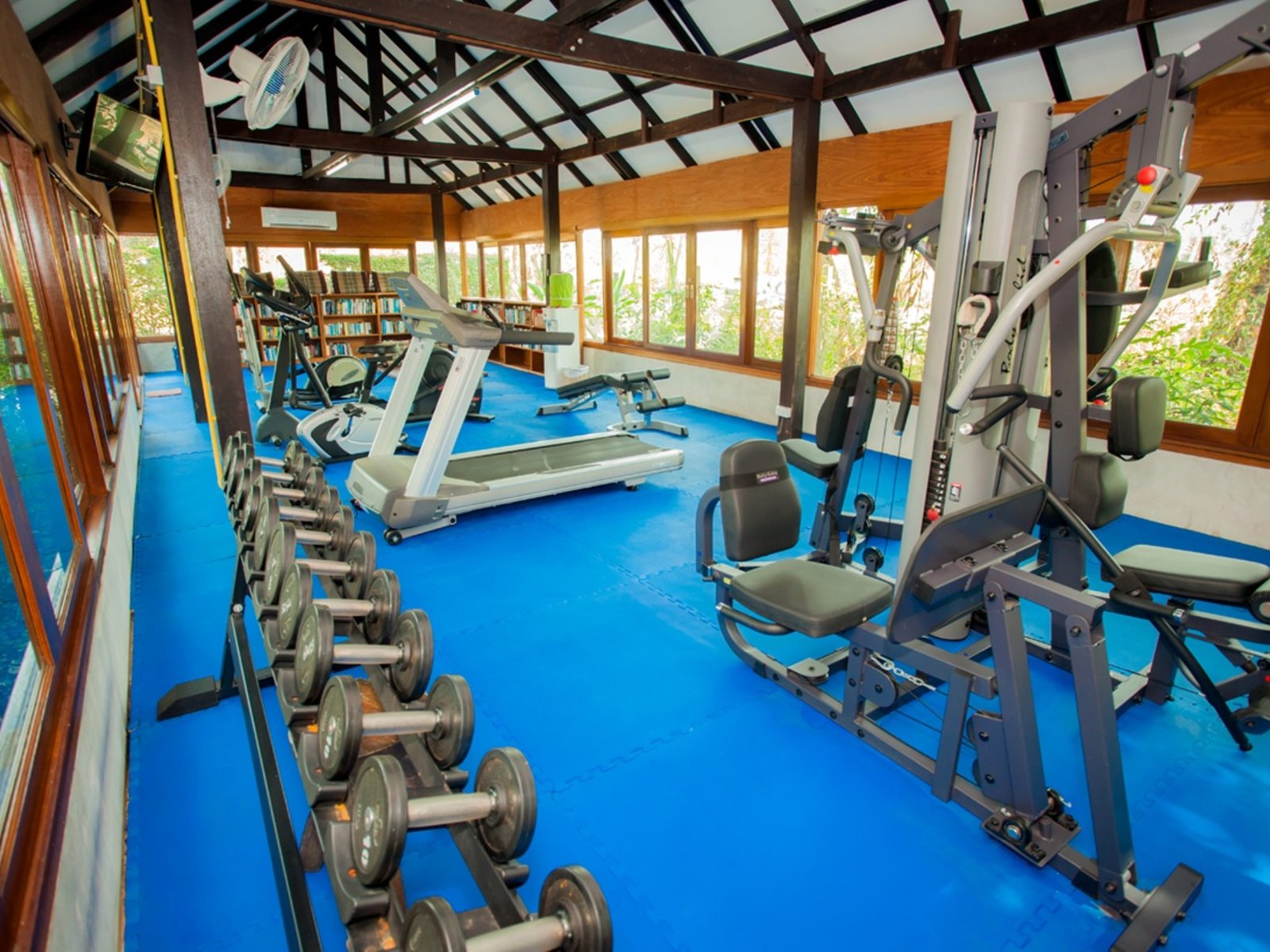 Sport