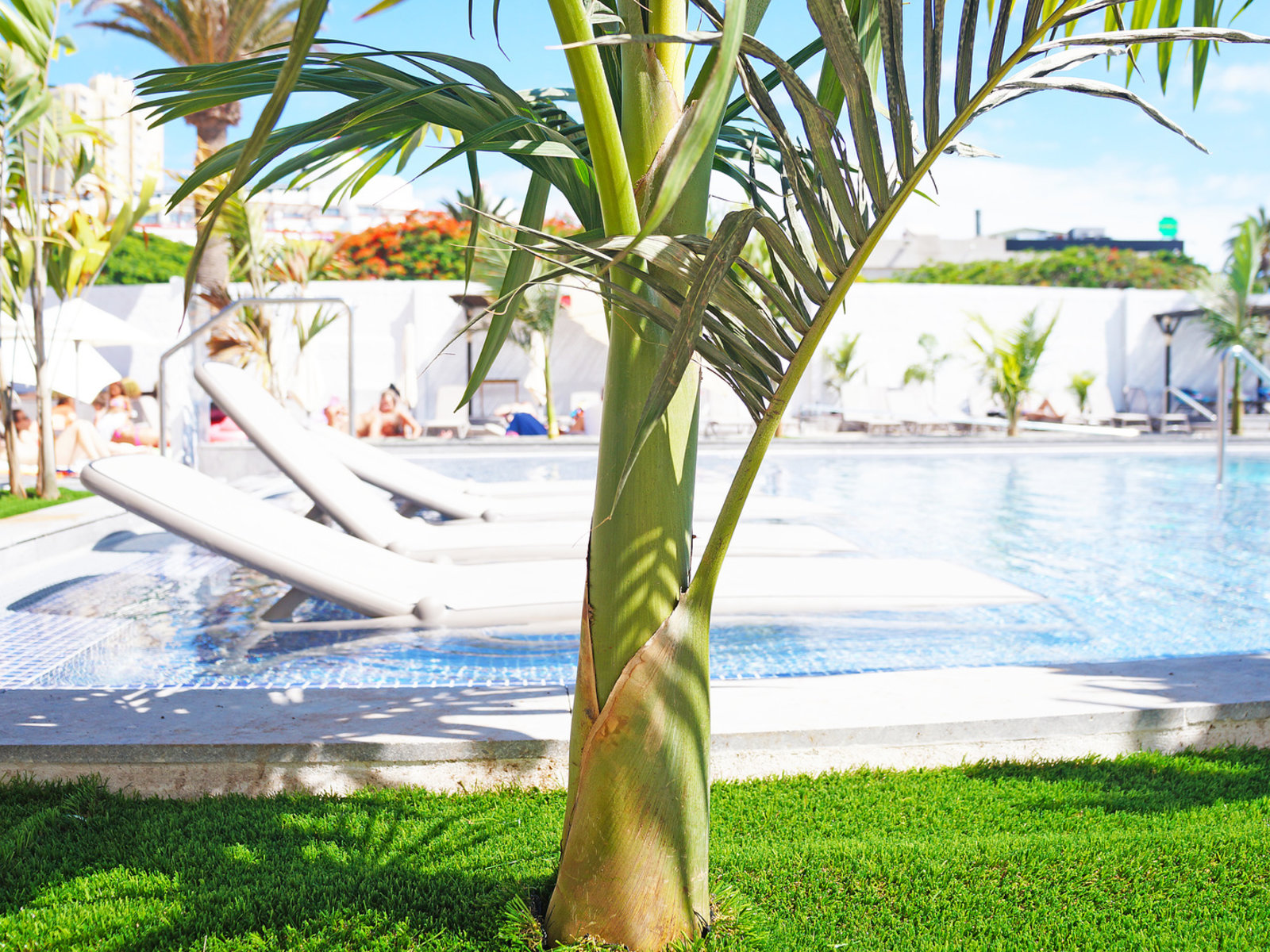 Piscina de adultos 1