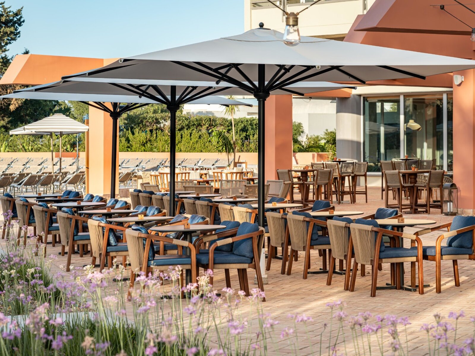 Terrace Bar