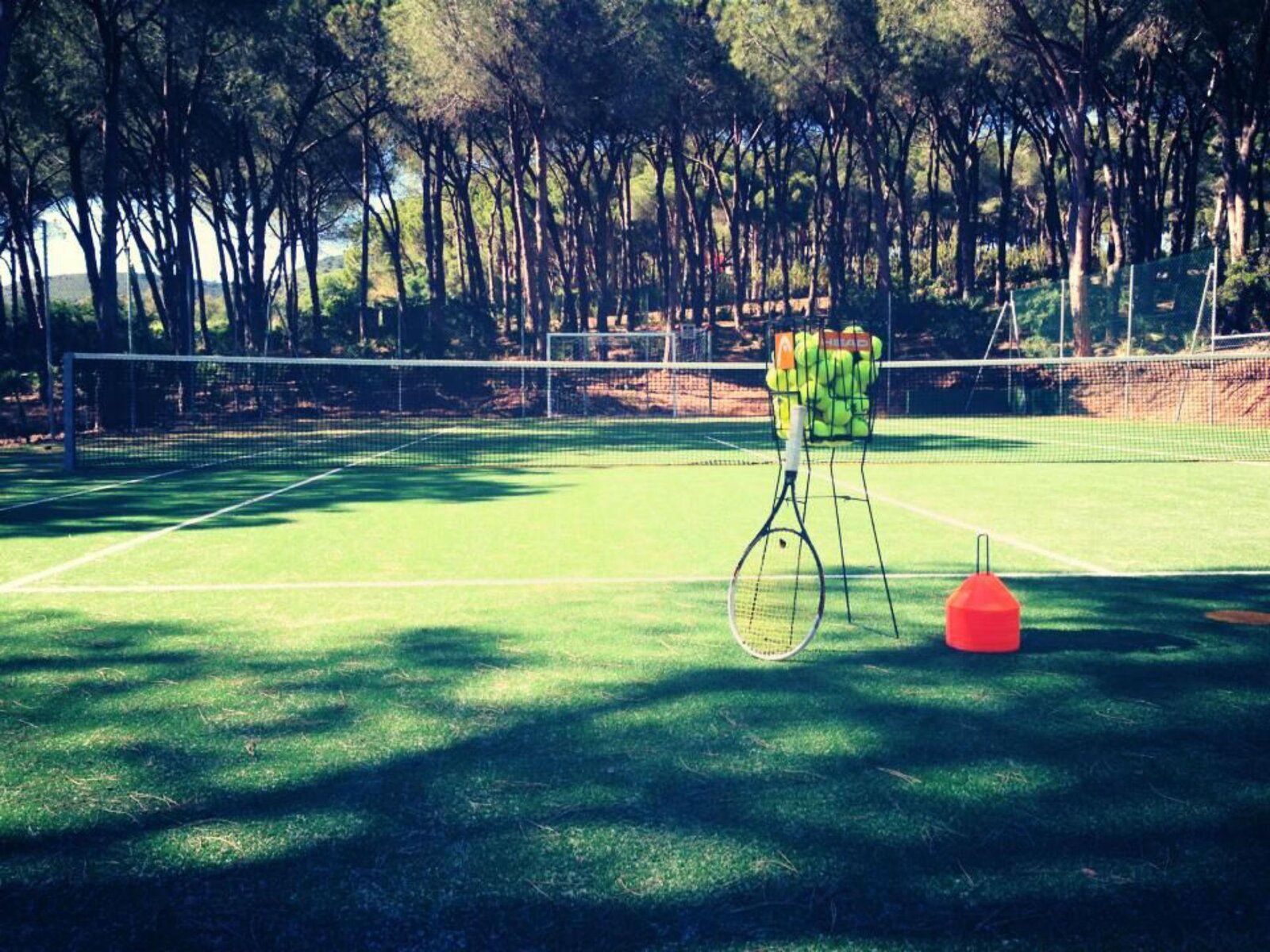 Sport