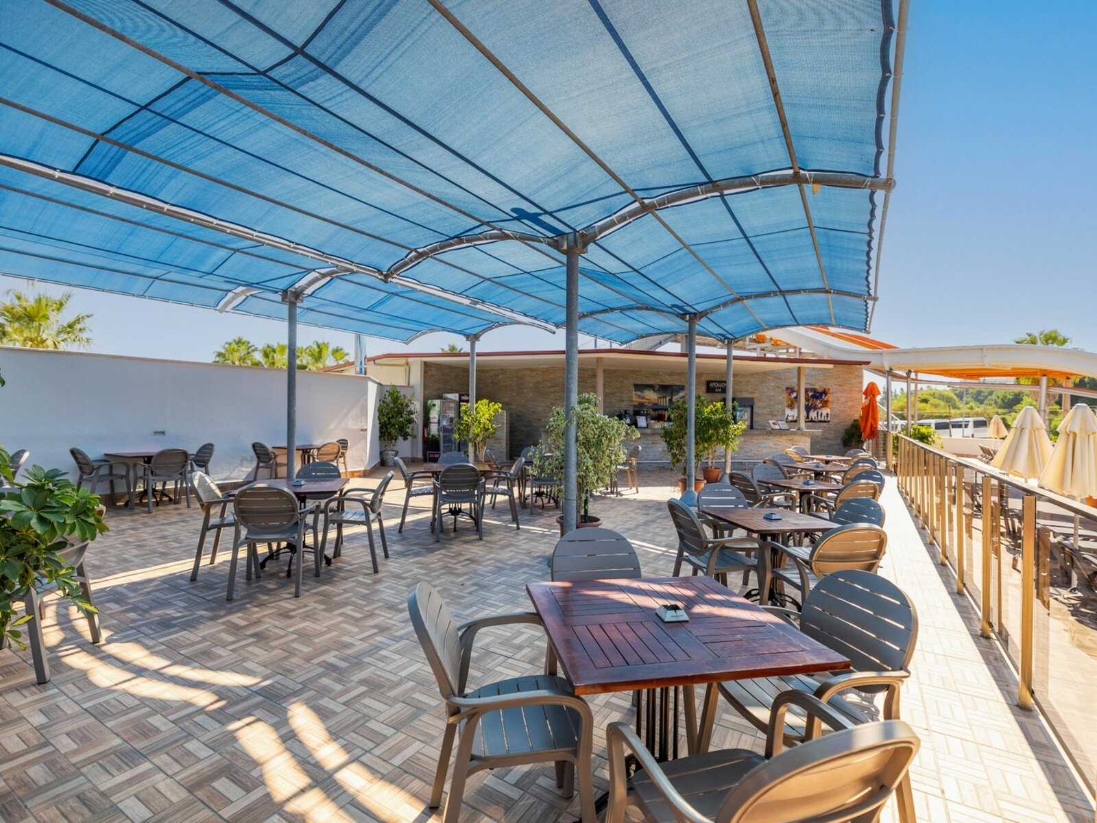Apollon Bar