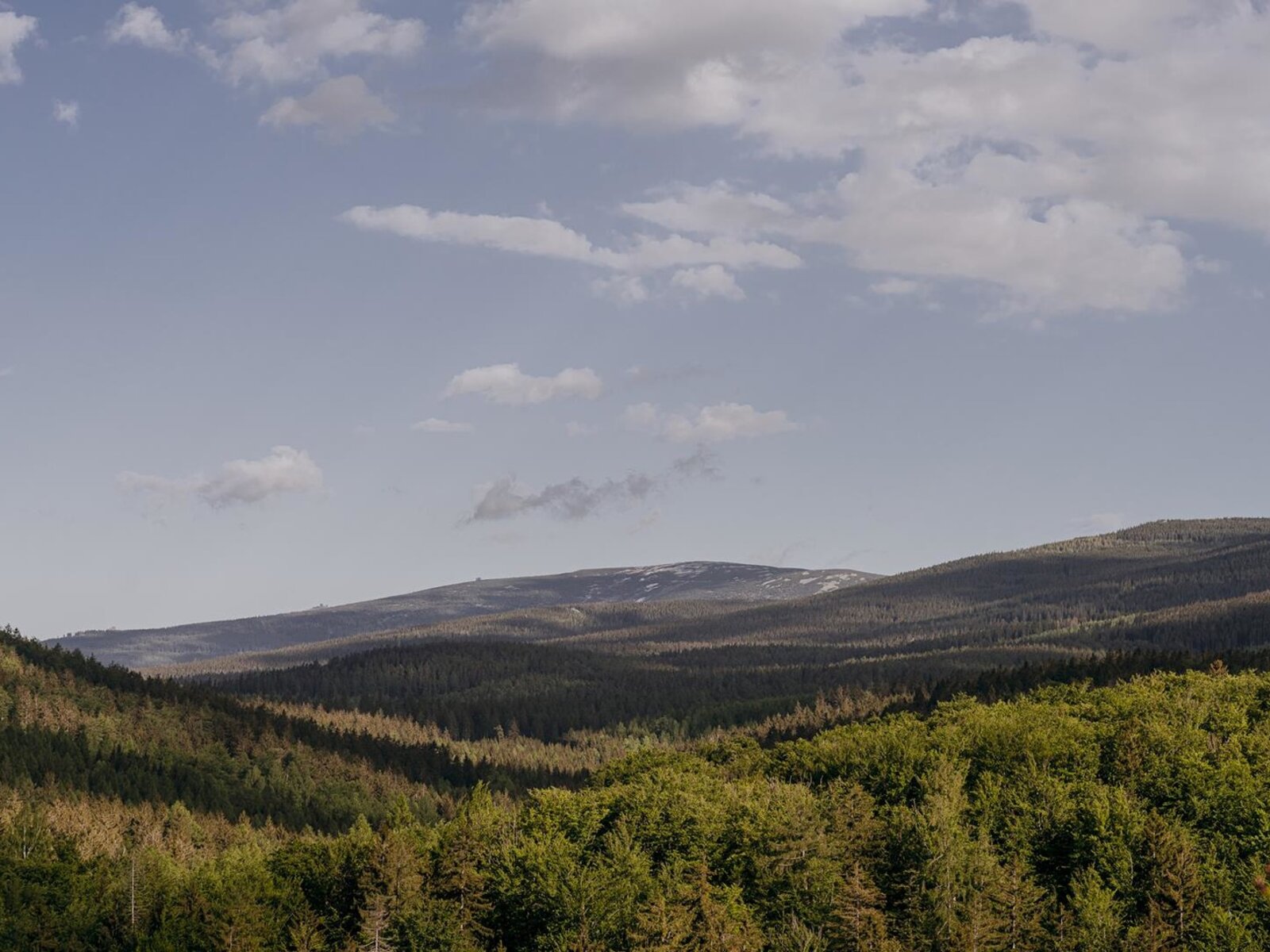 Landschaft