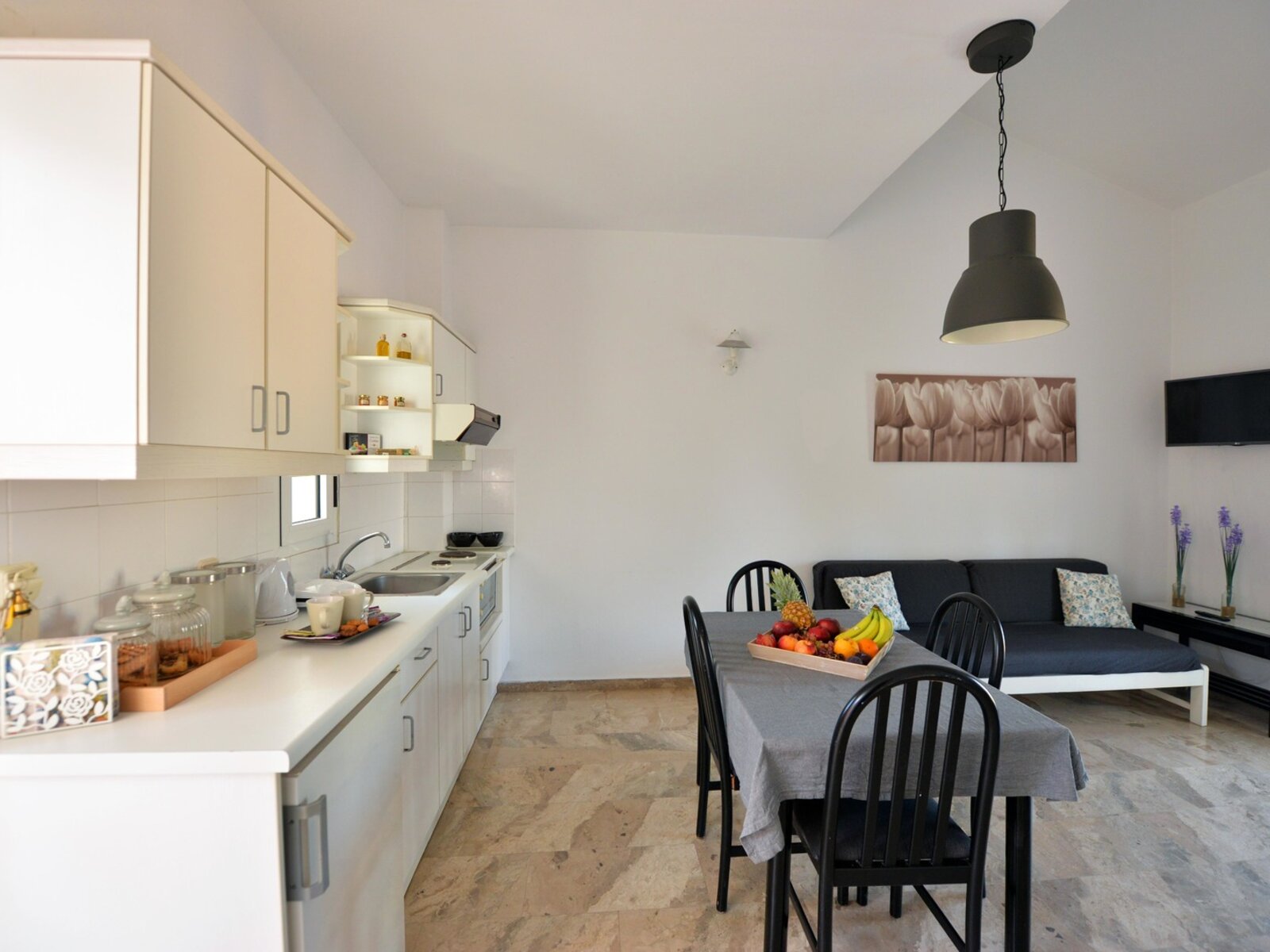 One Bedroom Apartment