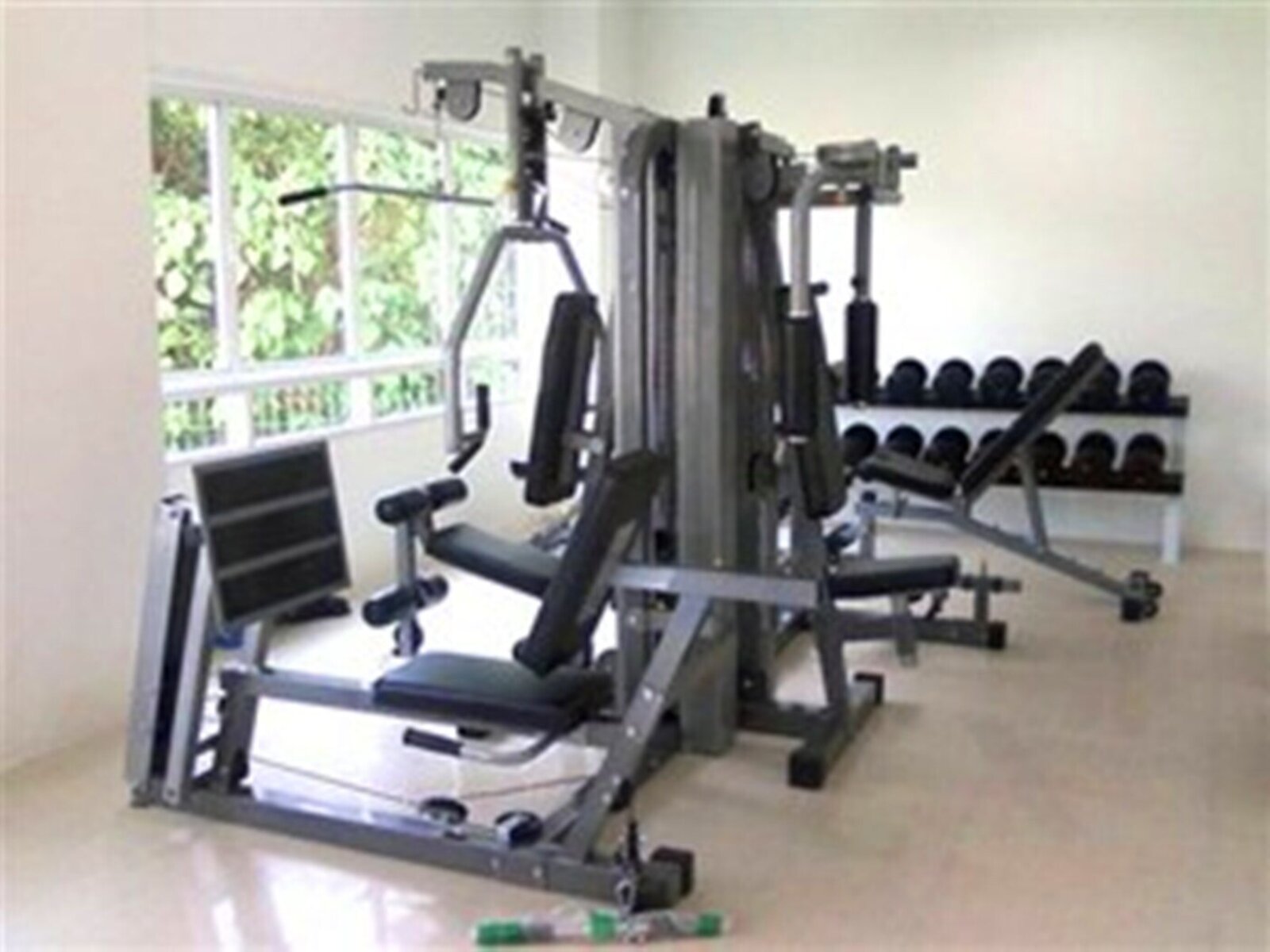 Sport
