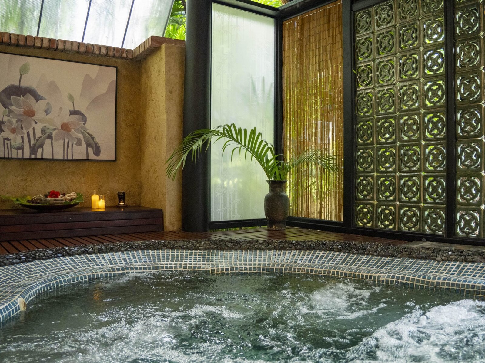 Wellness
