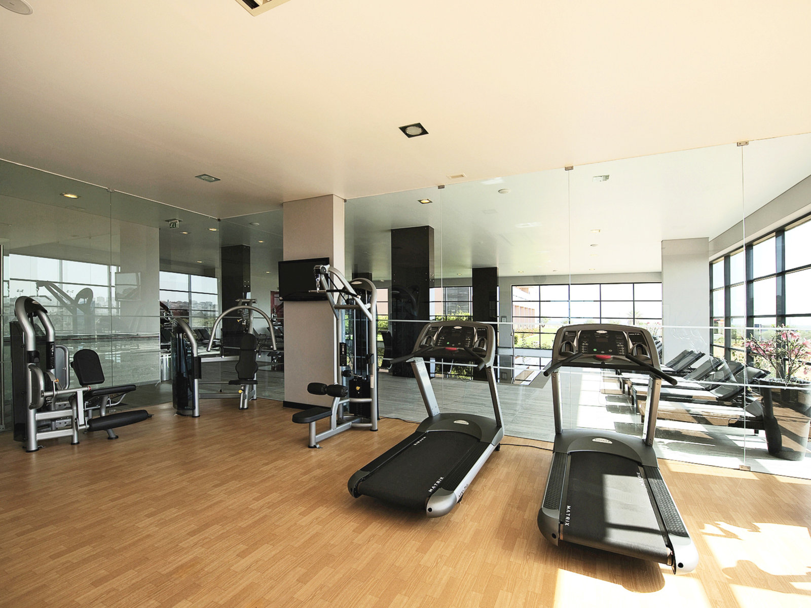 Sport