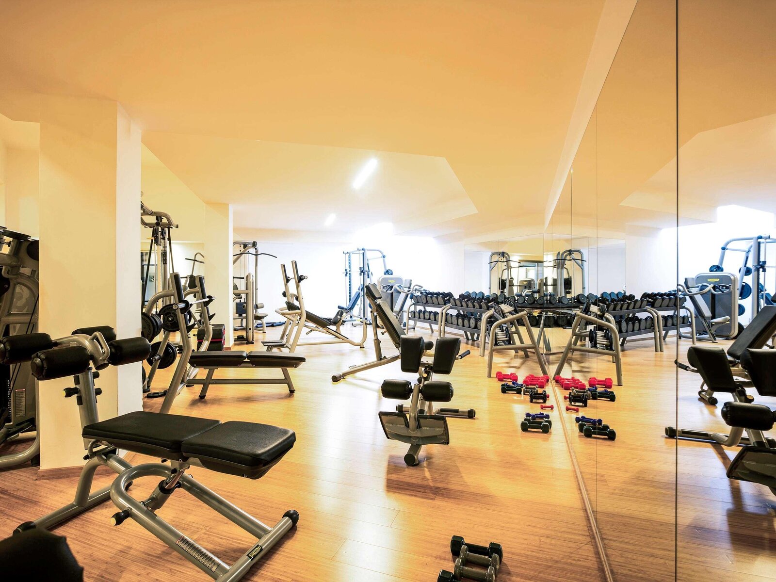 Sport