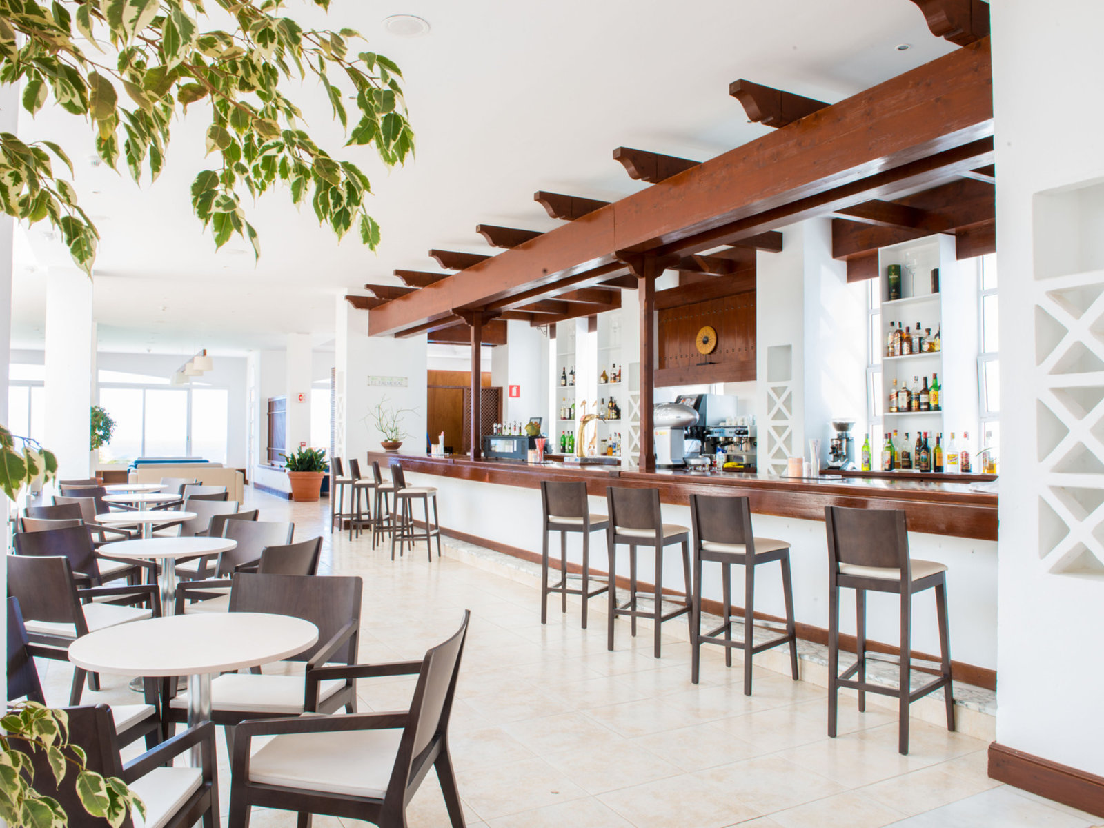 Bar Palmeral