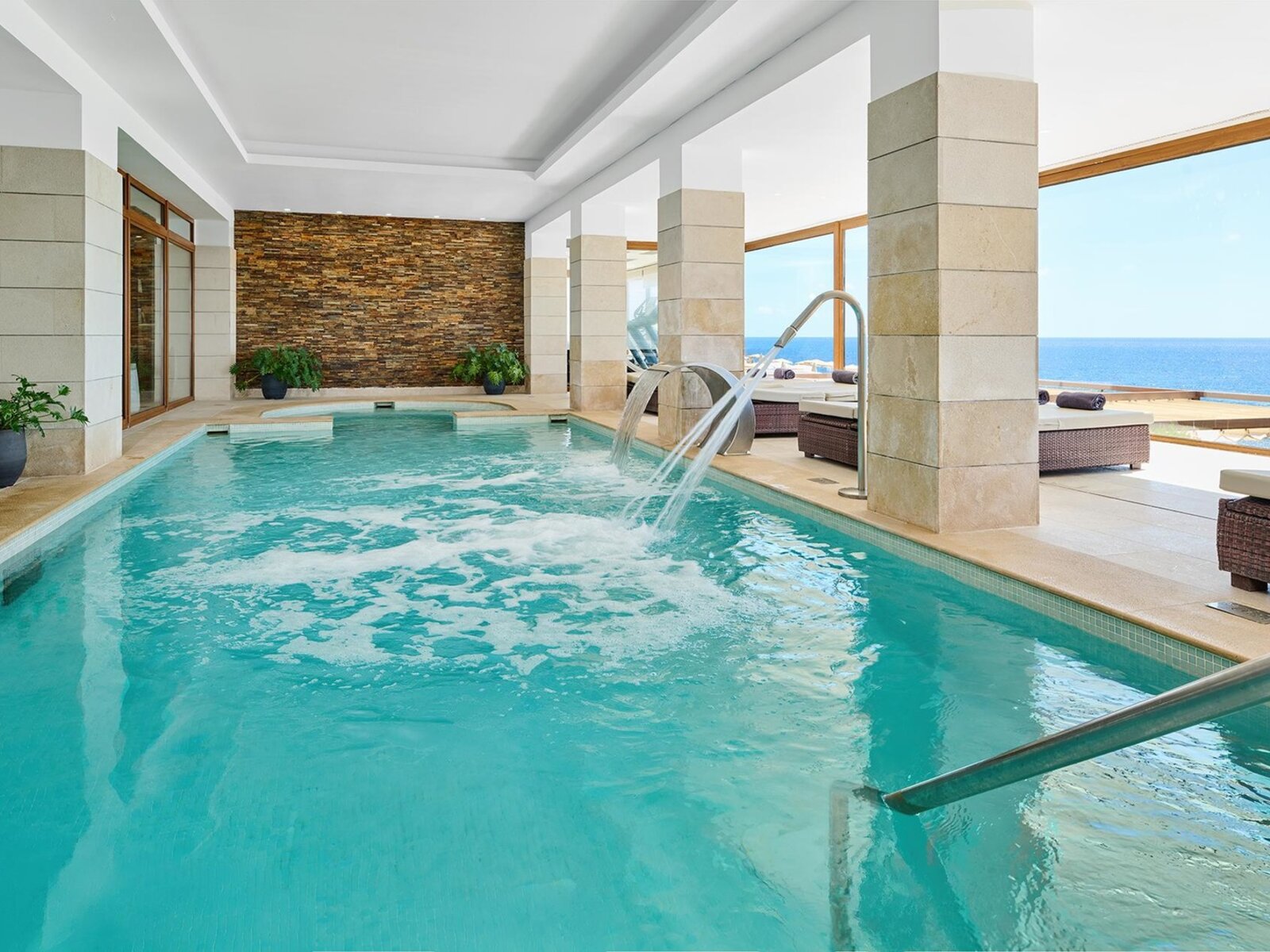 Wellness