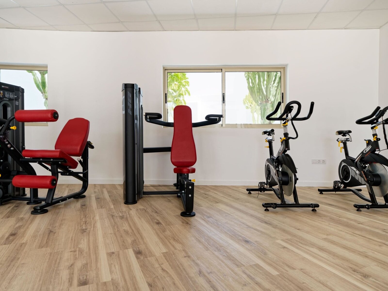 Sport
