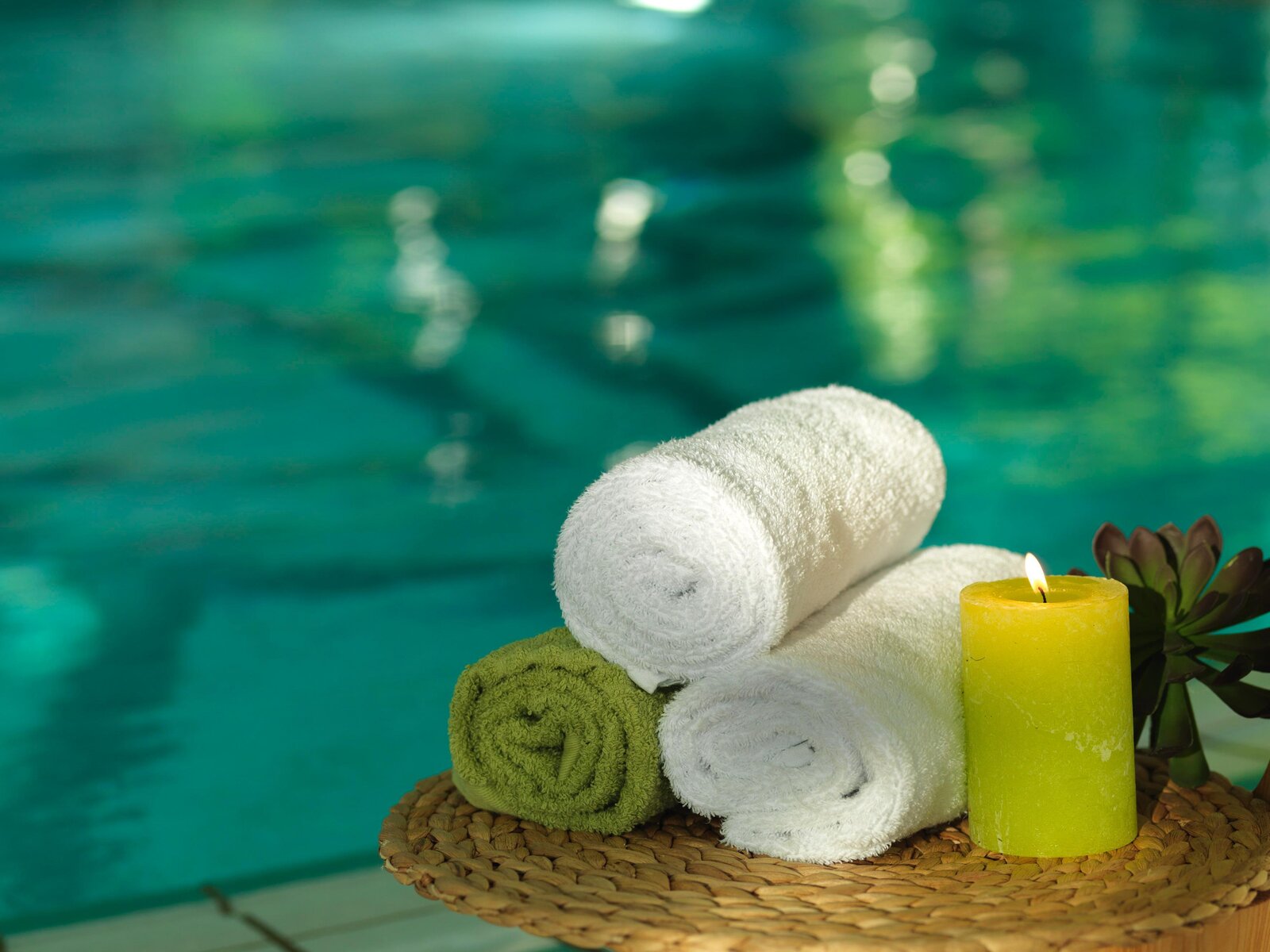 Wellness