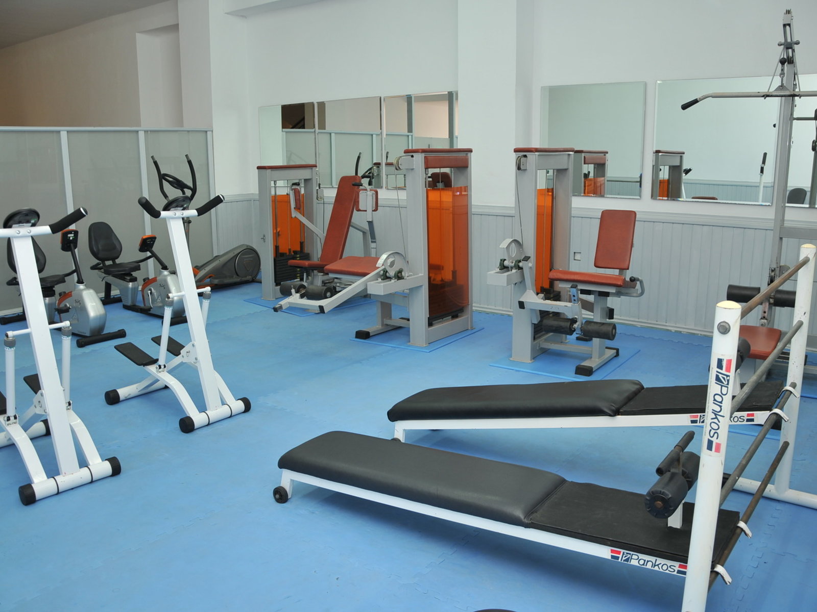 Sport