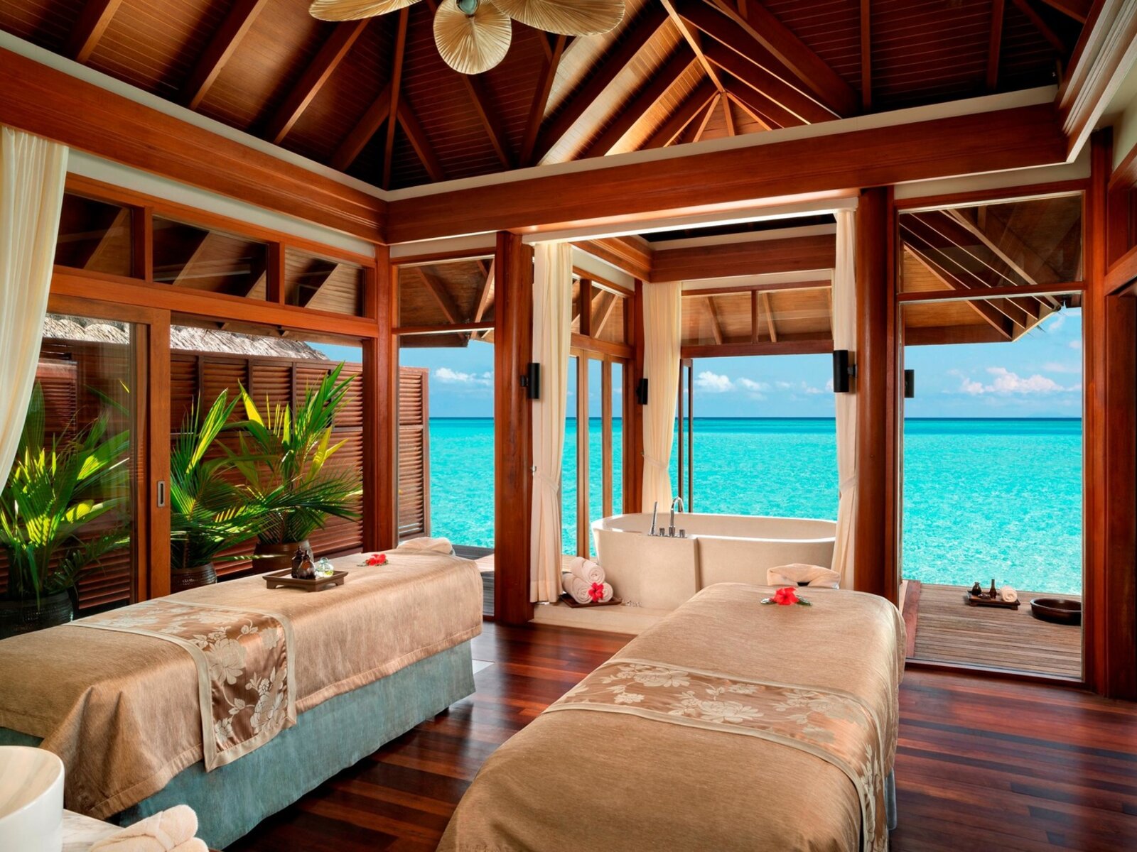 Wellness