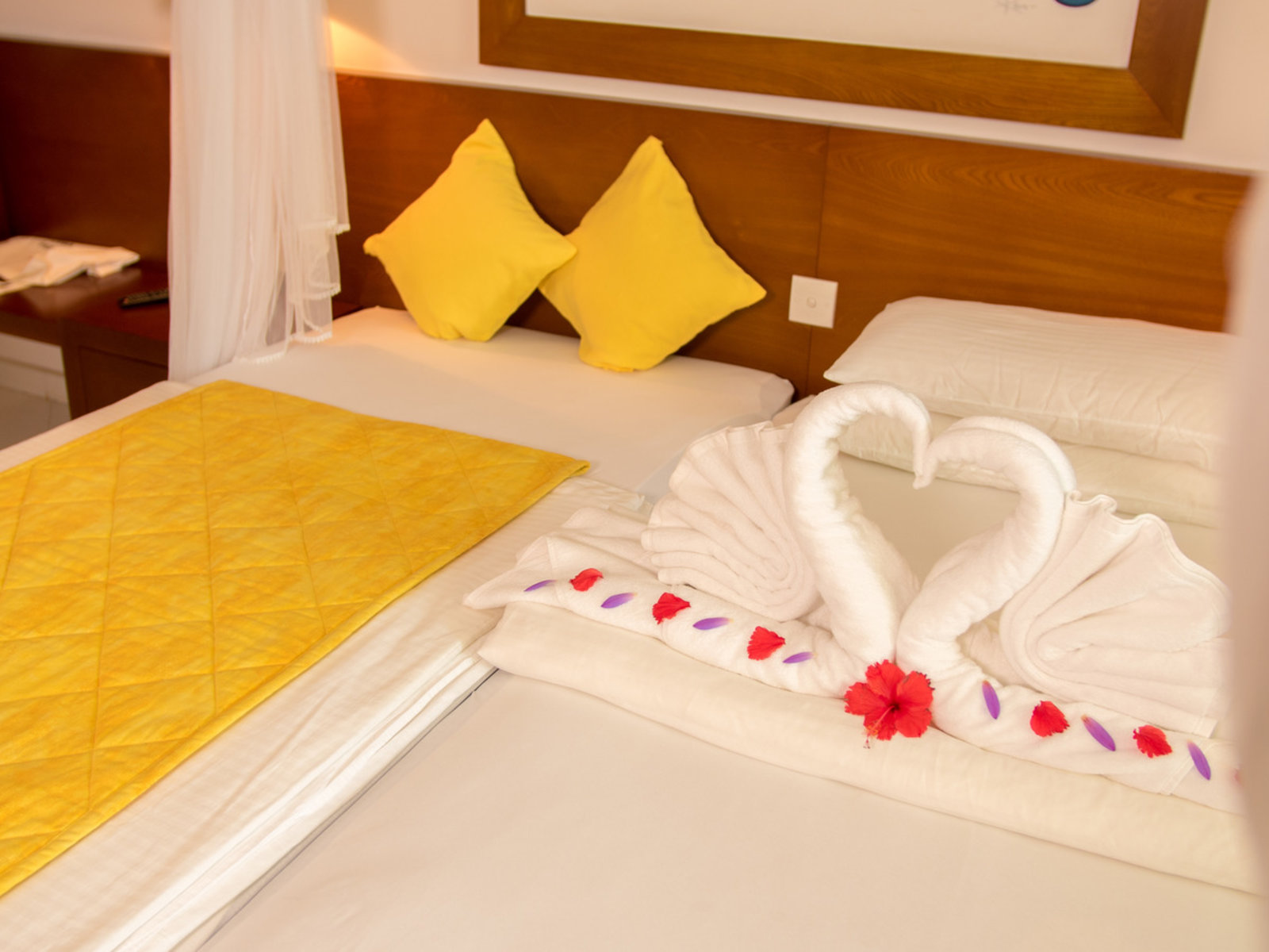 Wohnbeispiel Comfort Plus Single