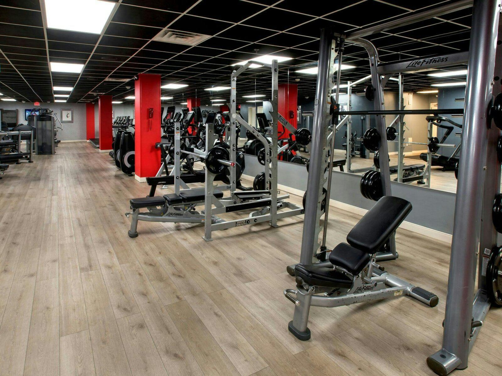 Sport