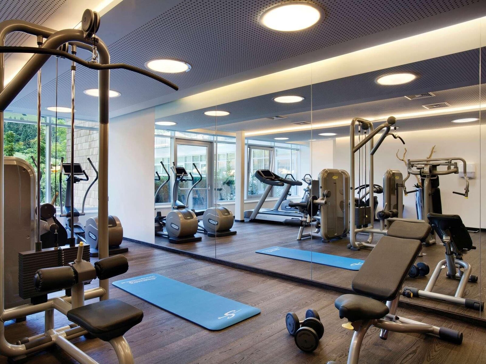 Sport