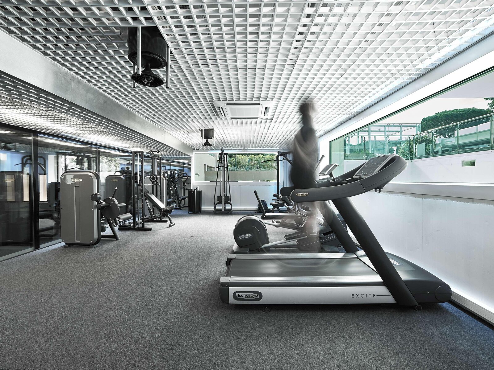 Sport