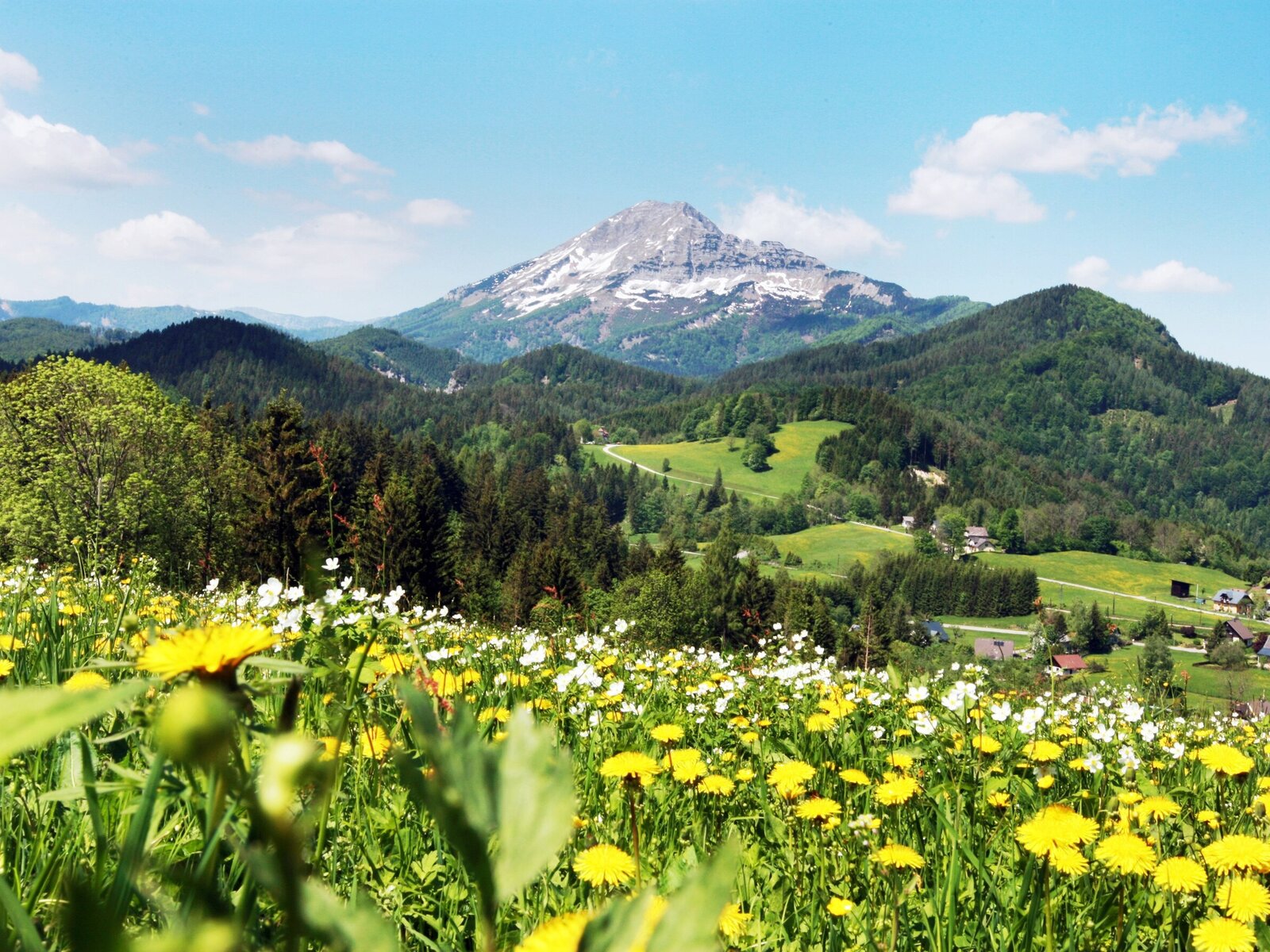 Landschaft
