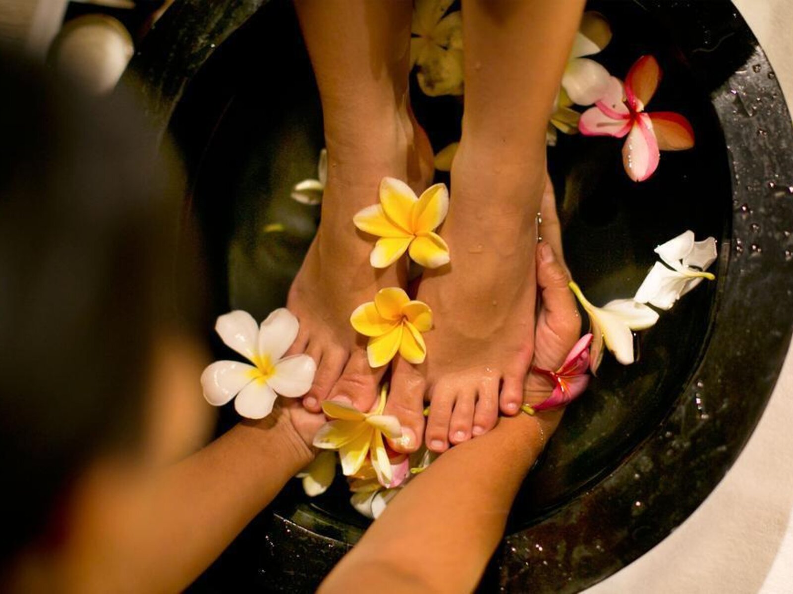 Wellness