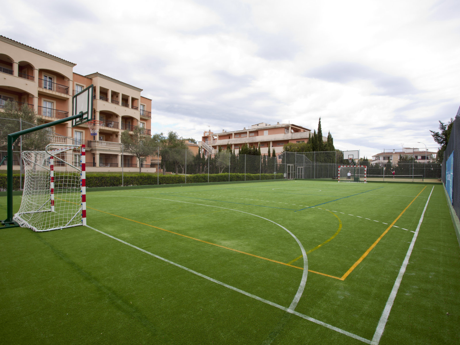 Sport