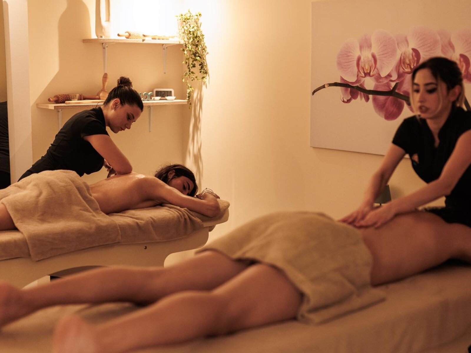 Wellness