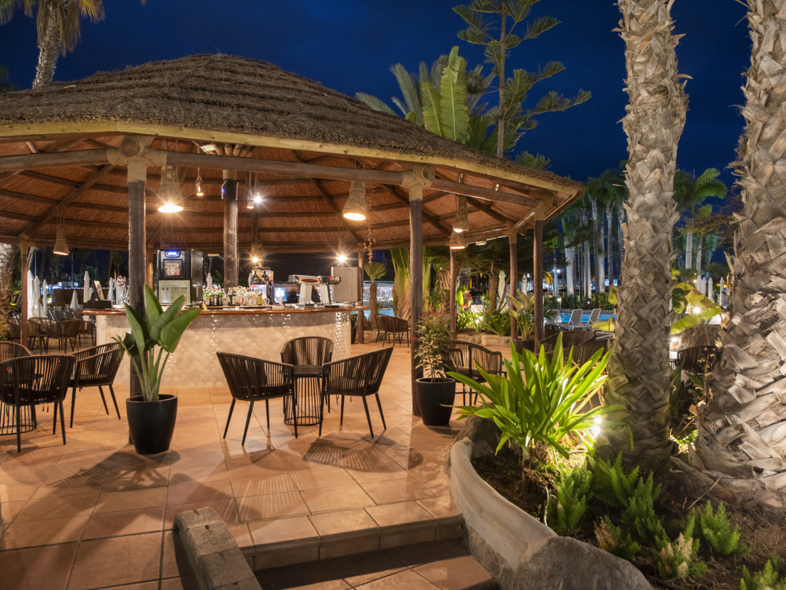 Tropical Bar