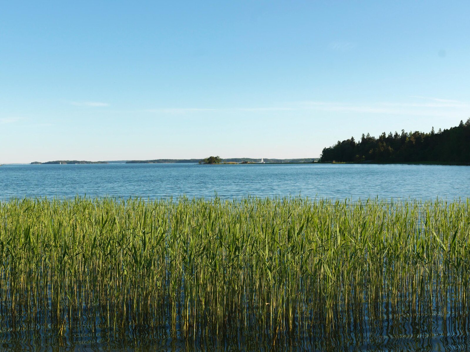 Landschaft