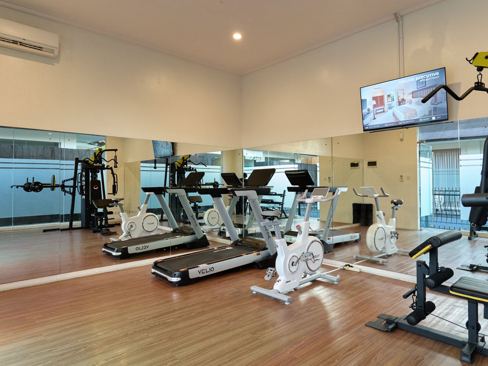 Sport