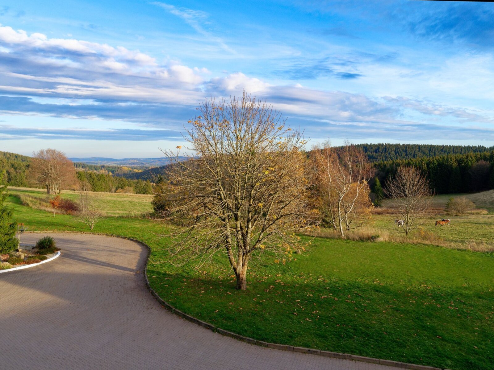 Landschaft