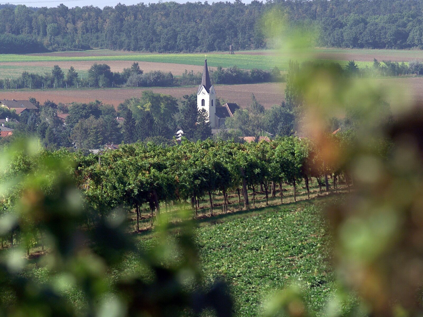 Landschaft