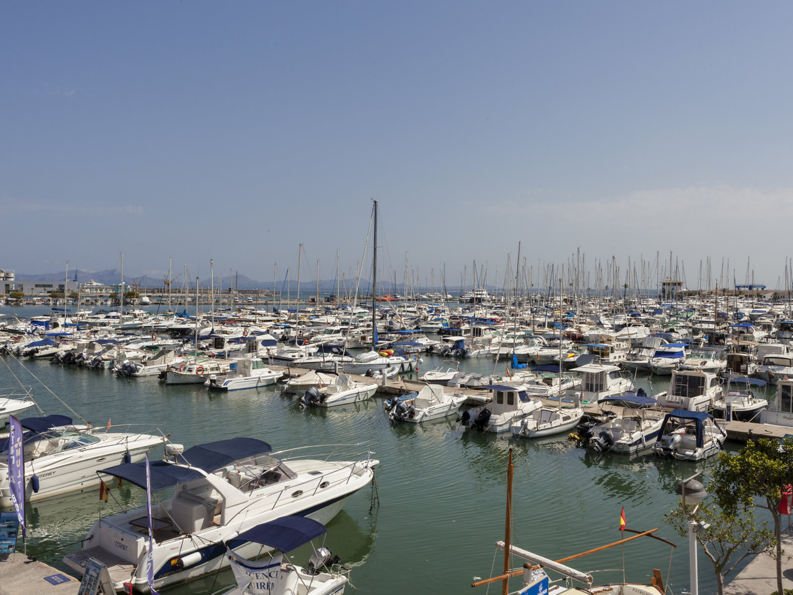 Platja d´Alcúdia