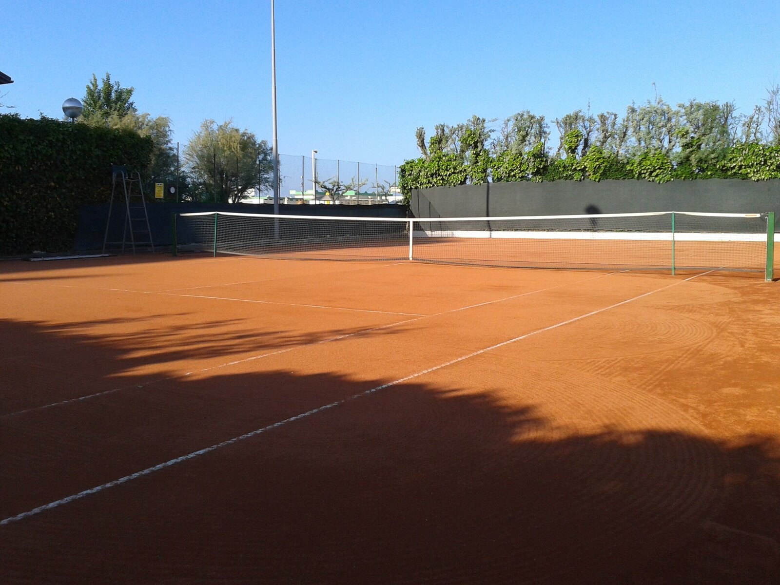 Sport