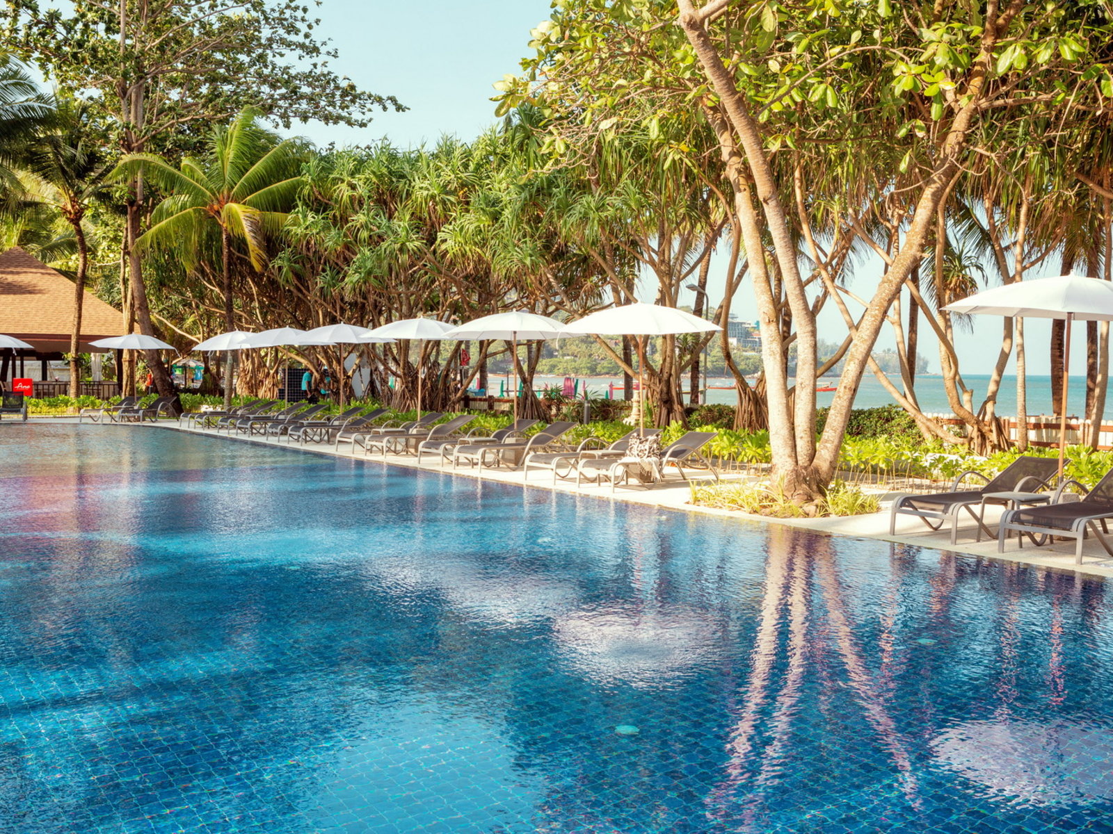 Swimming Pool Beach Wing