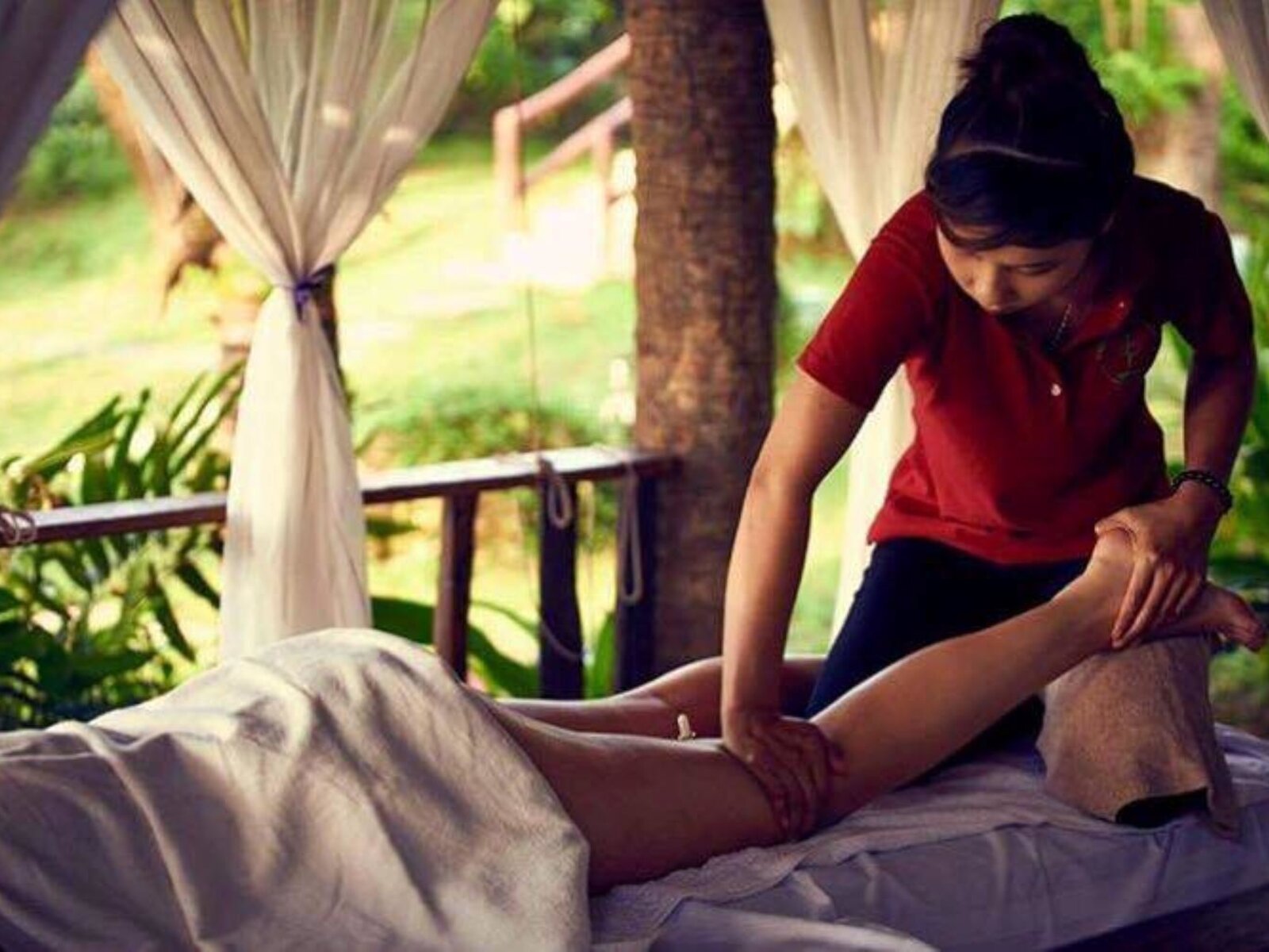 Wellness