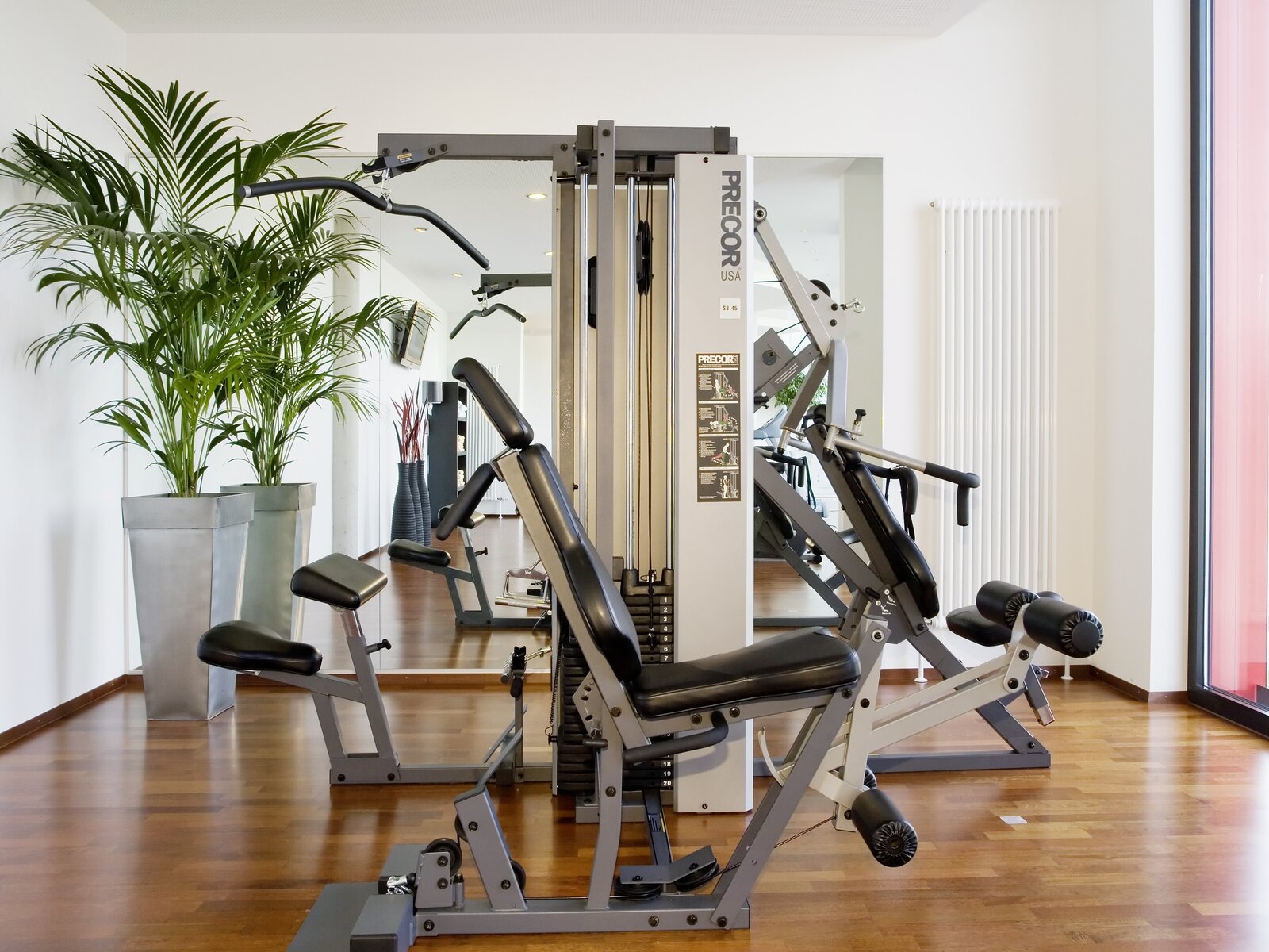 Sport