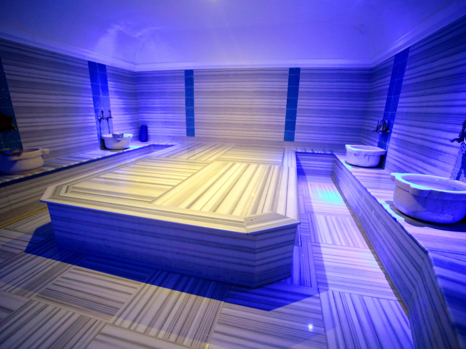 Wellness