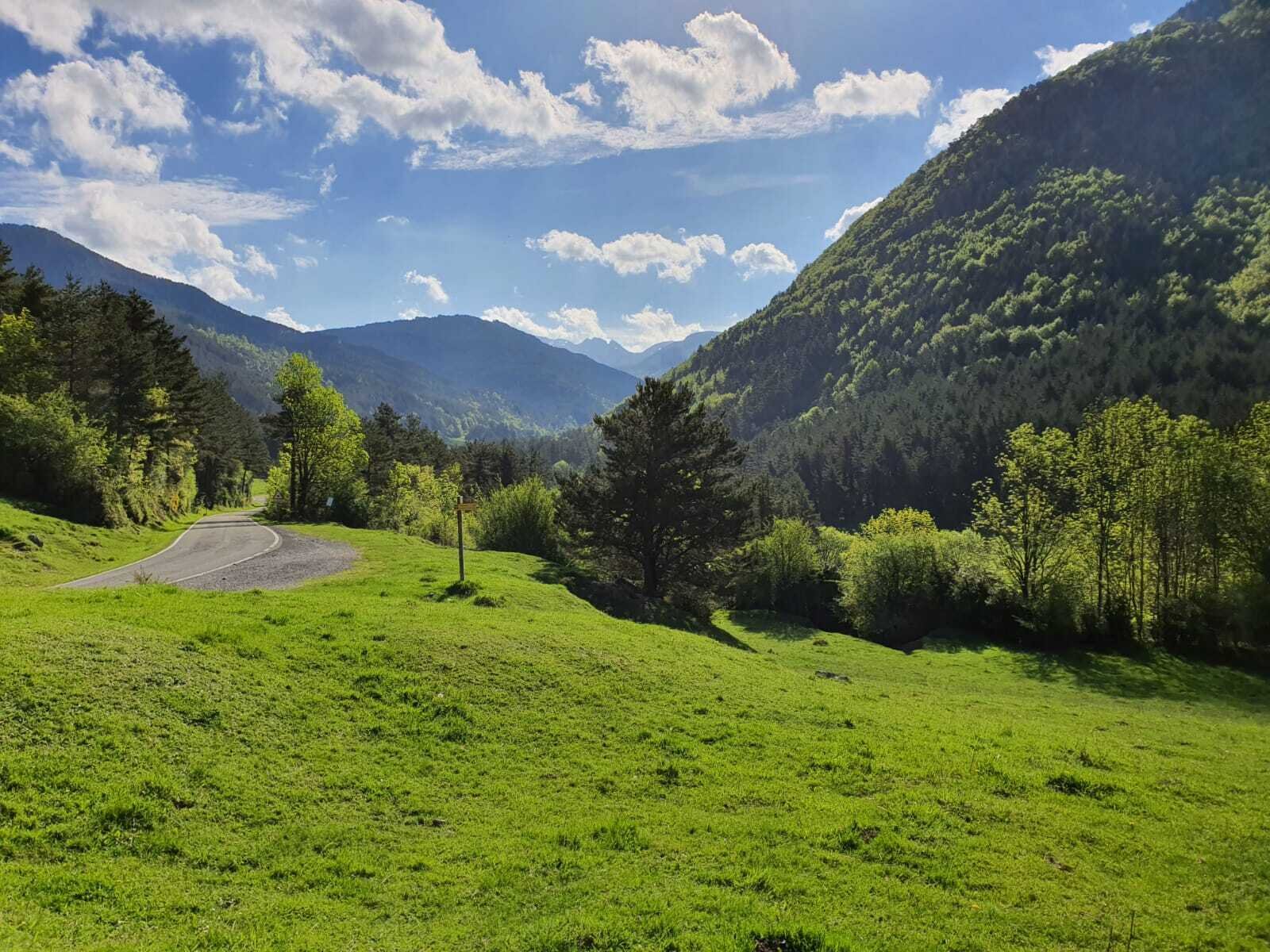 Landschaft