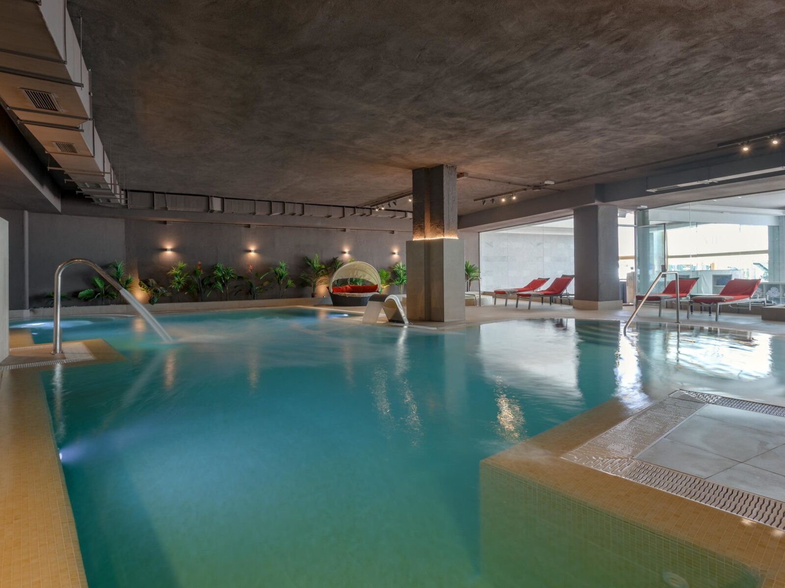 Wellness