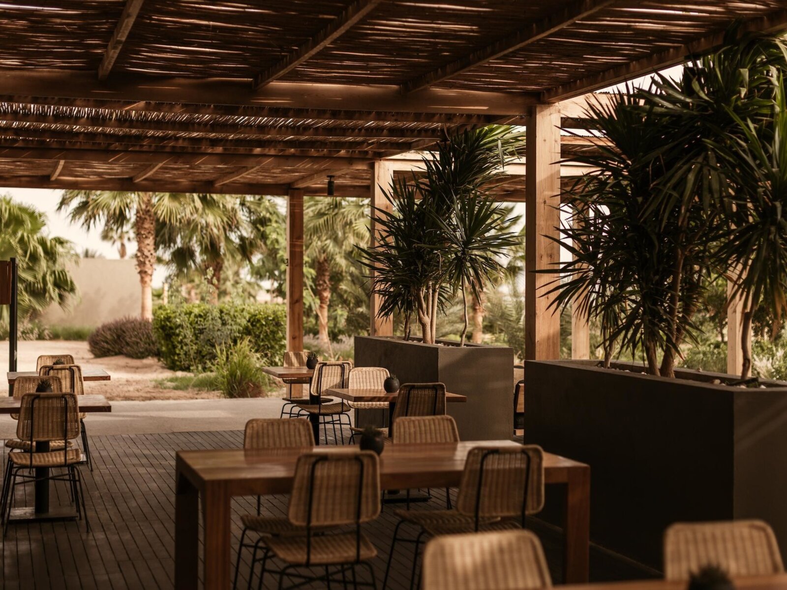 Beach Club