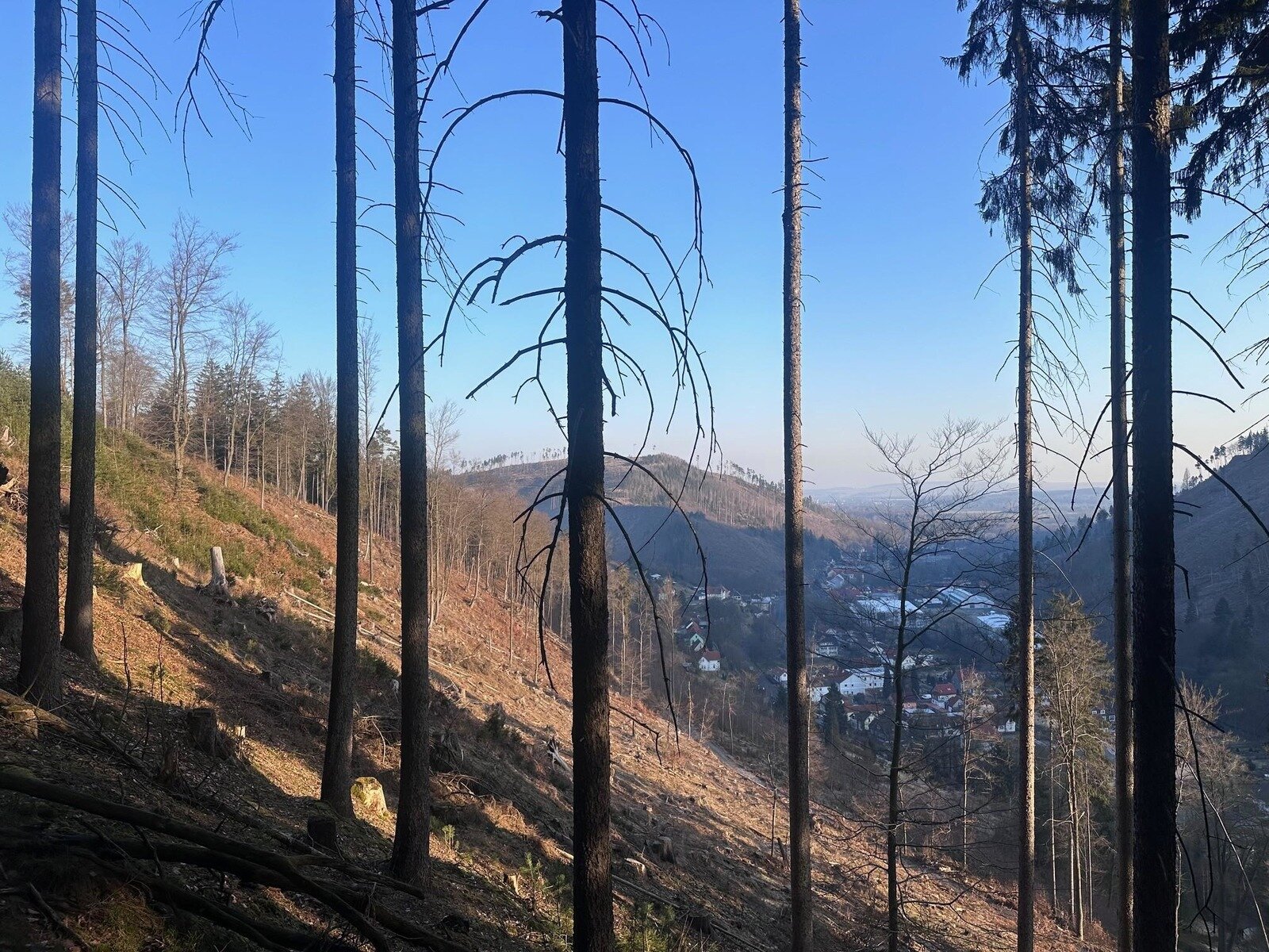 Landschaft