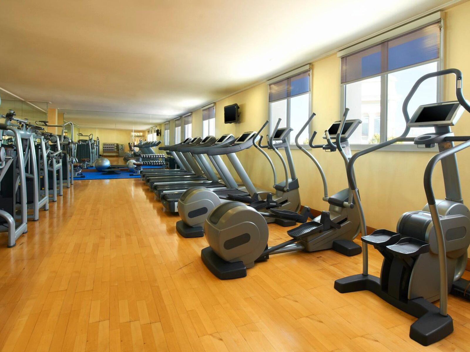 Sport