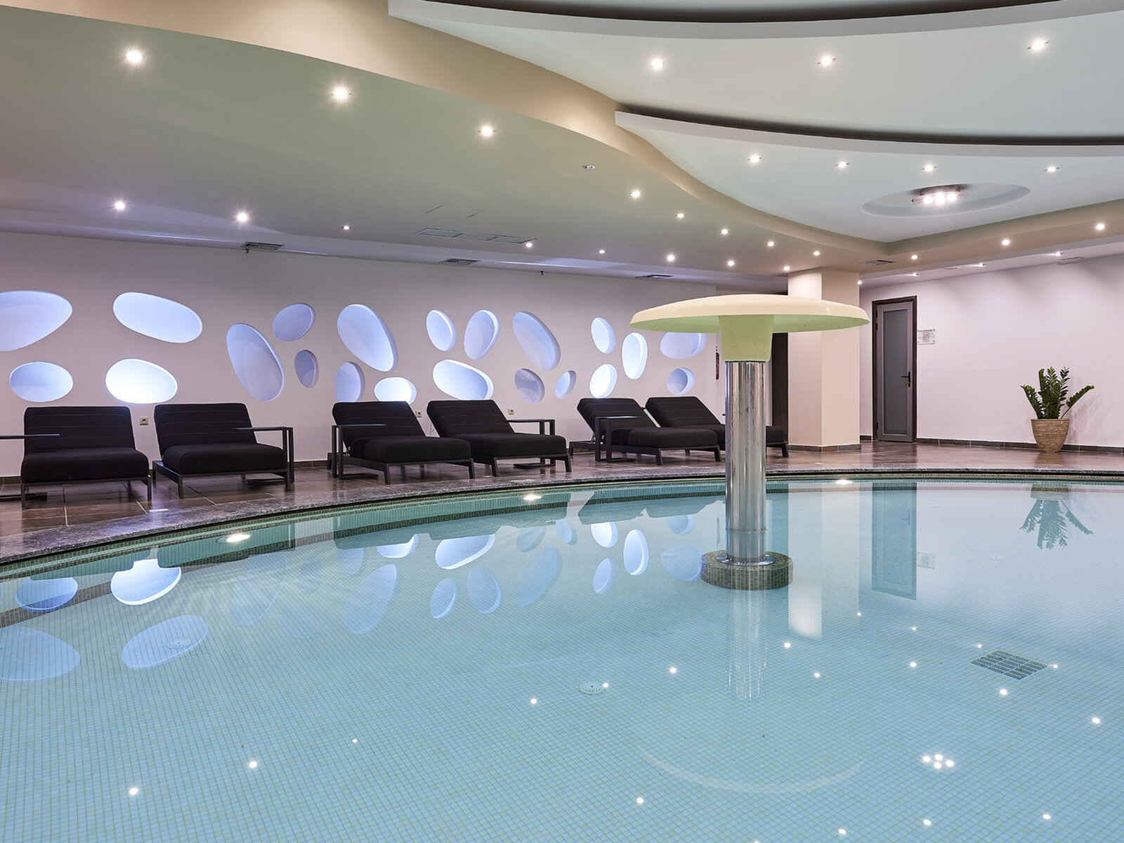 Spa Wellness Pool