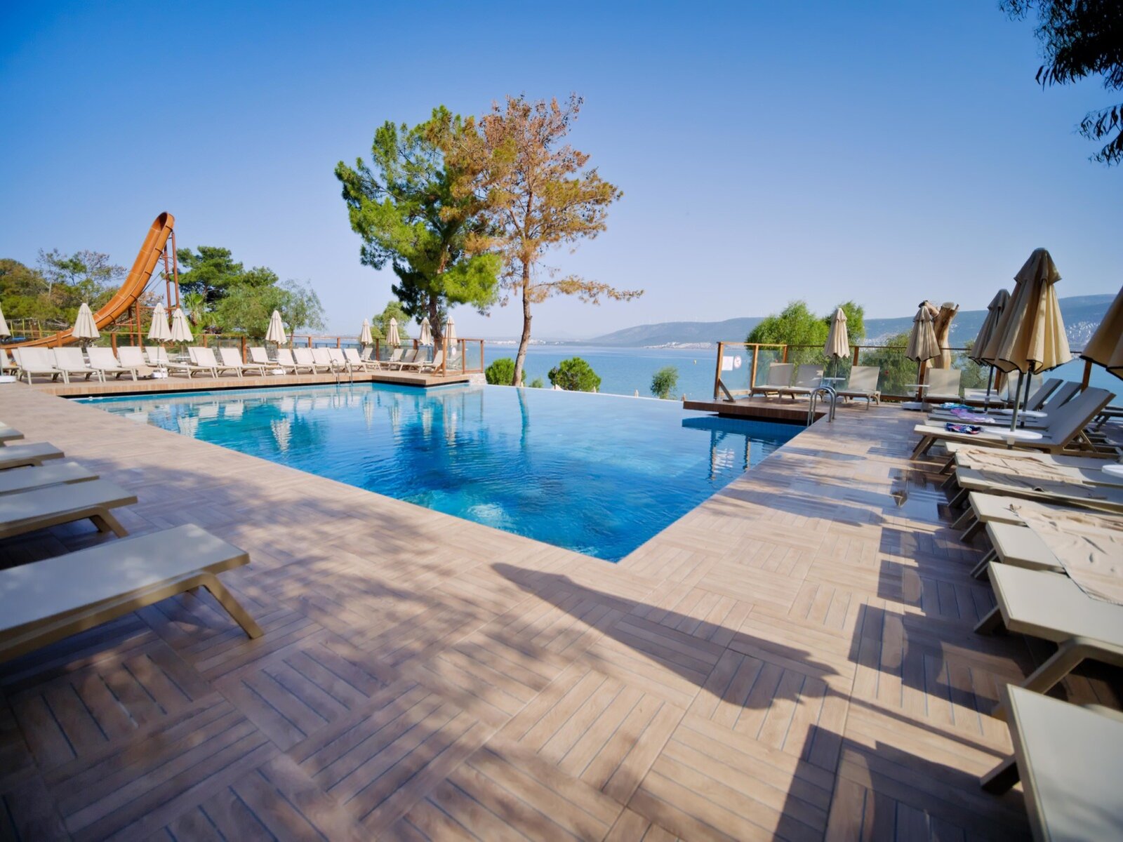 Infinity Pool