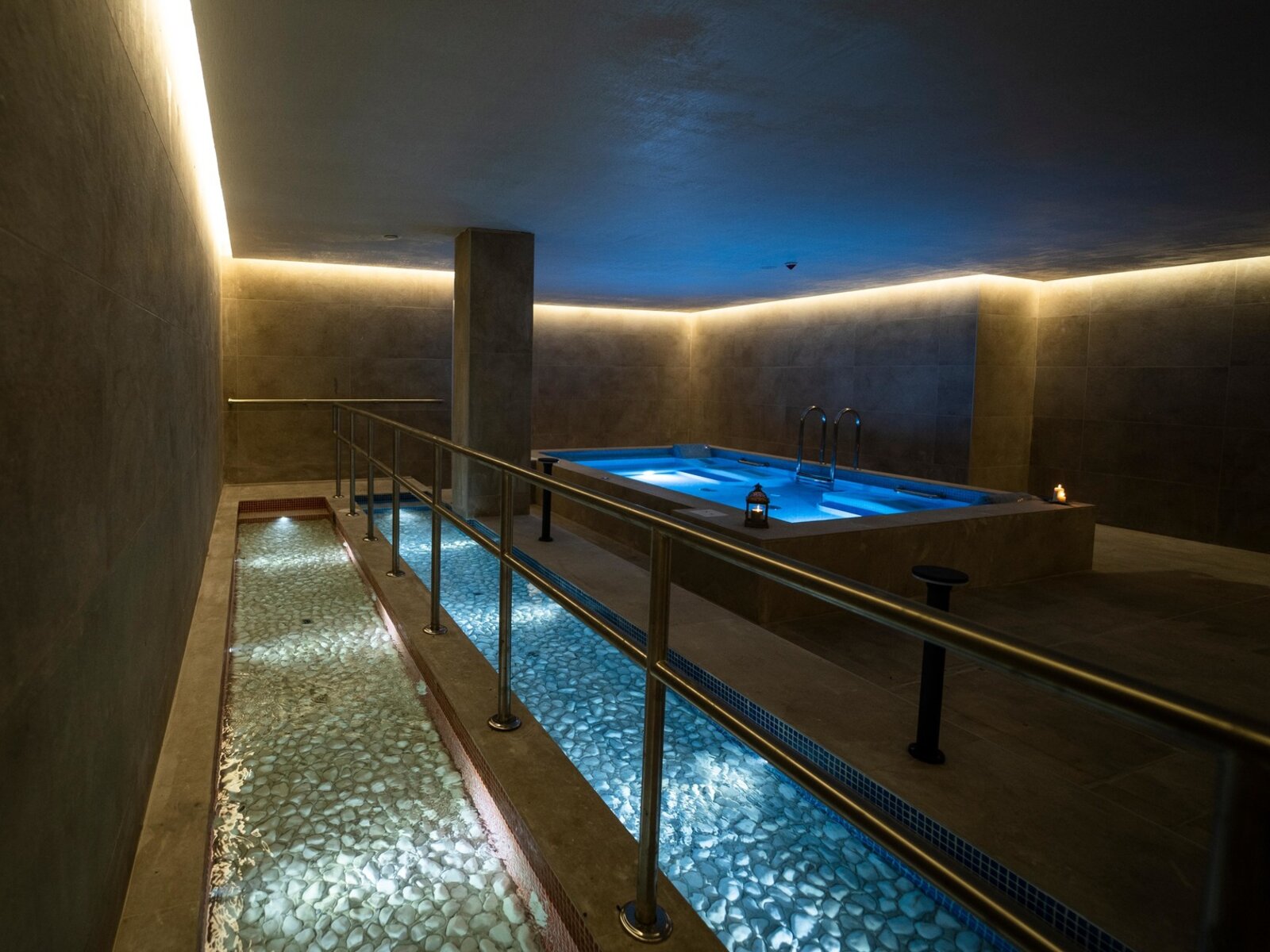 Wellness