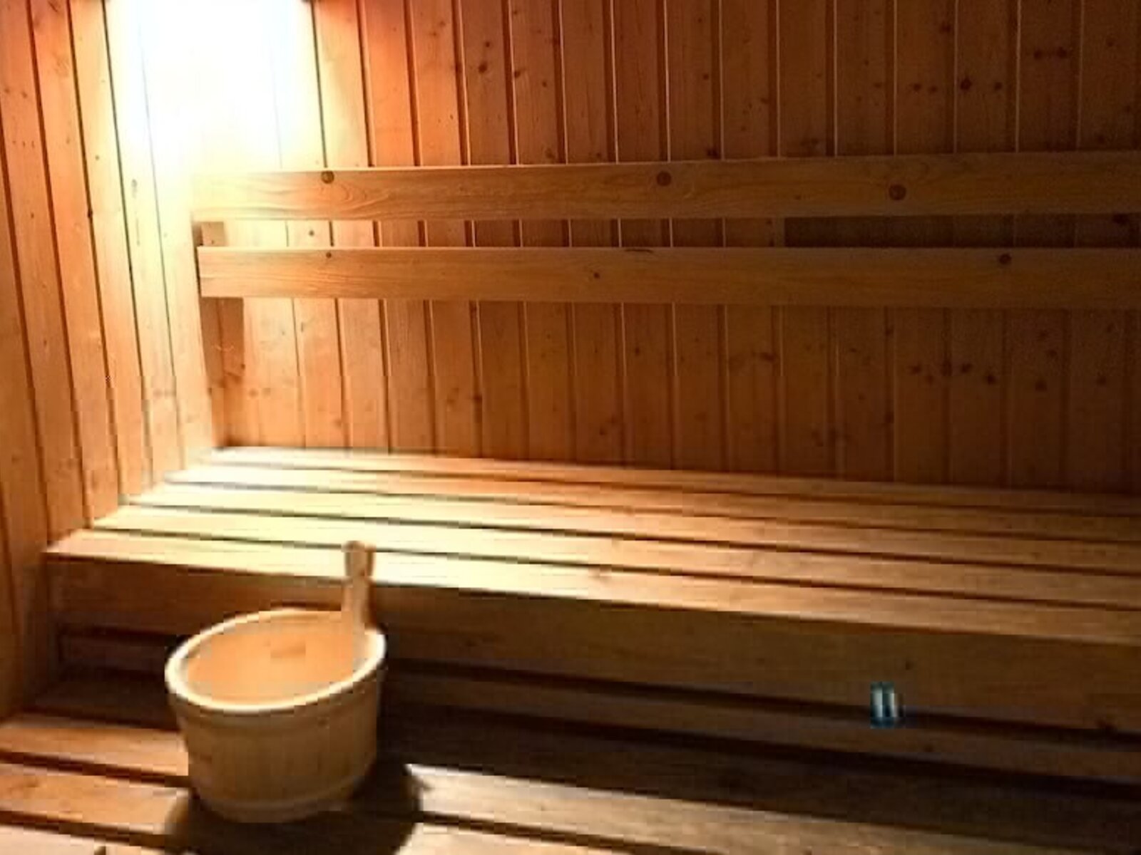 Wellness
