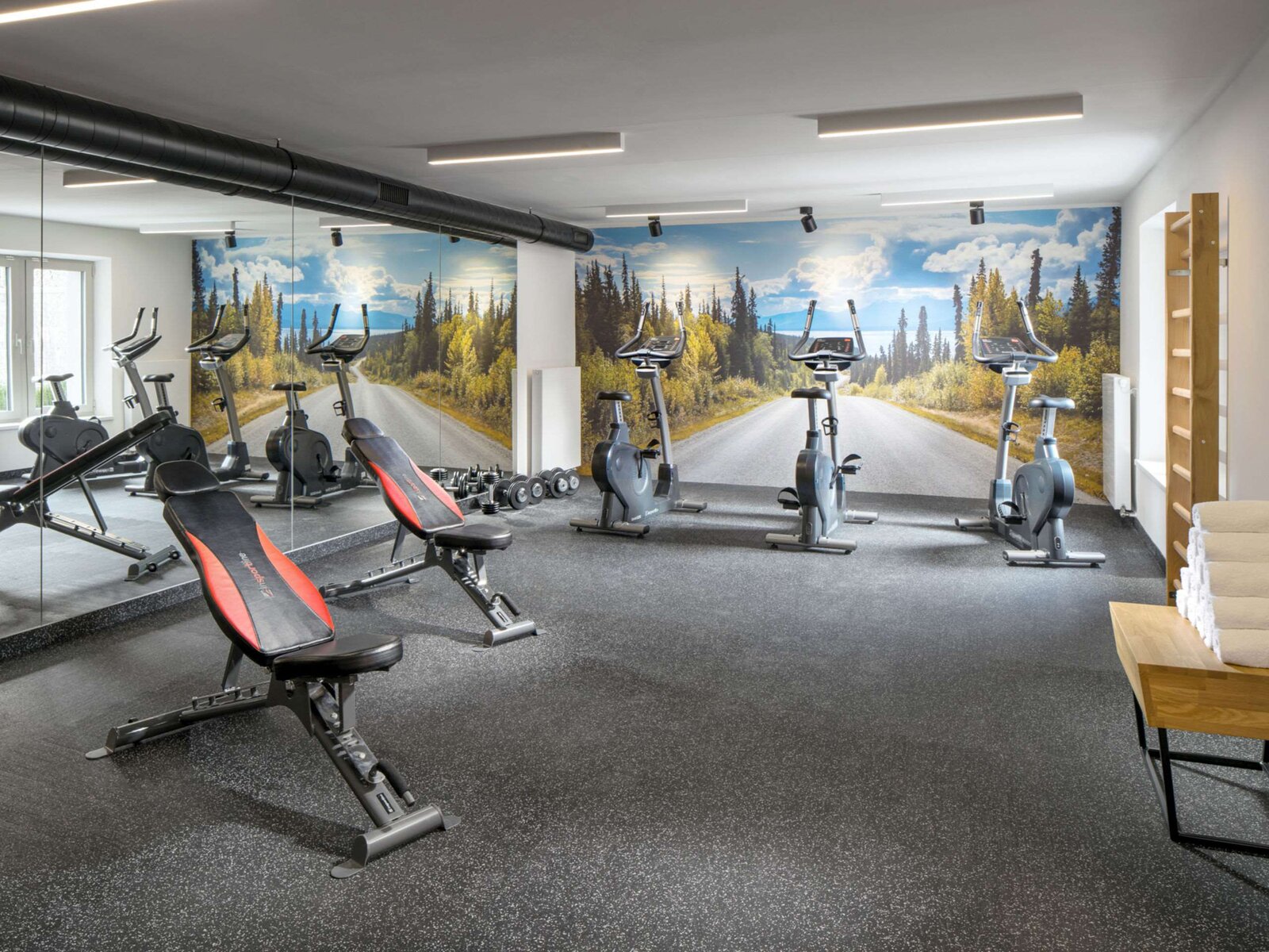 Sport