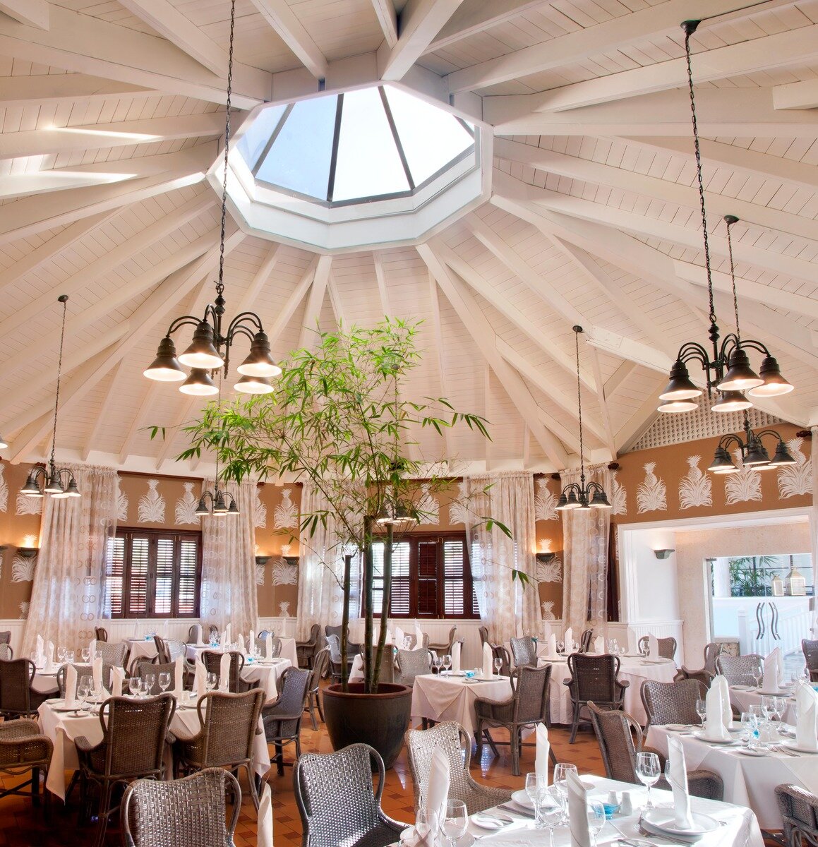 Octopus Restaurant